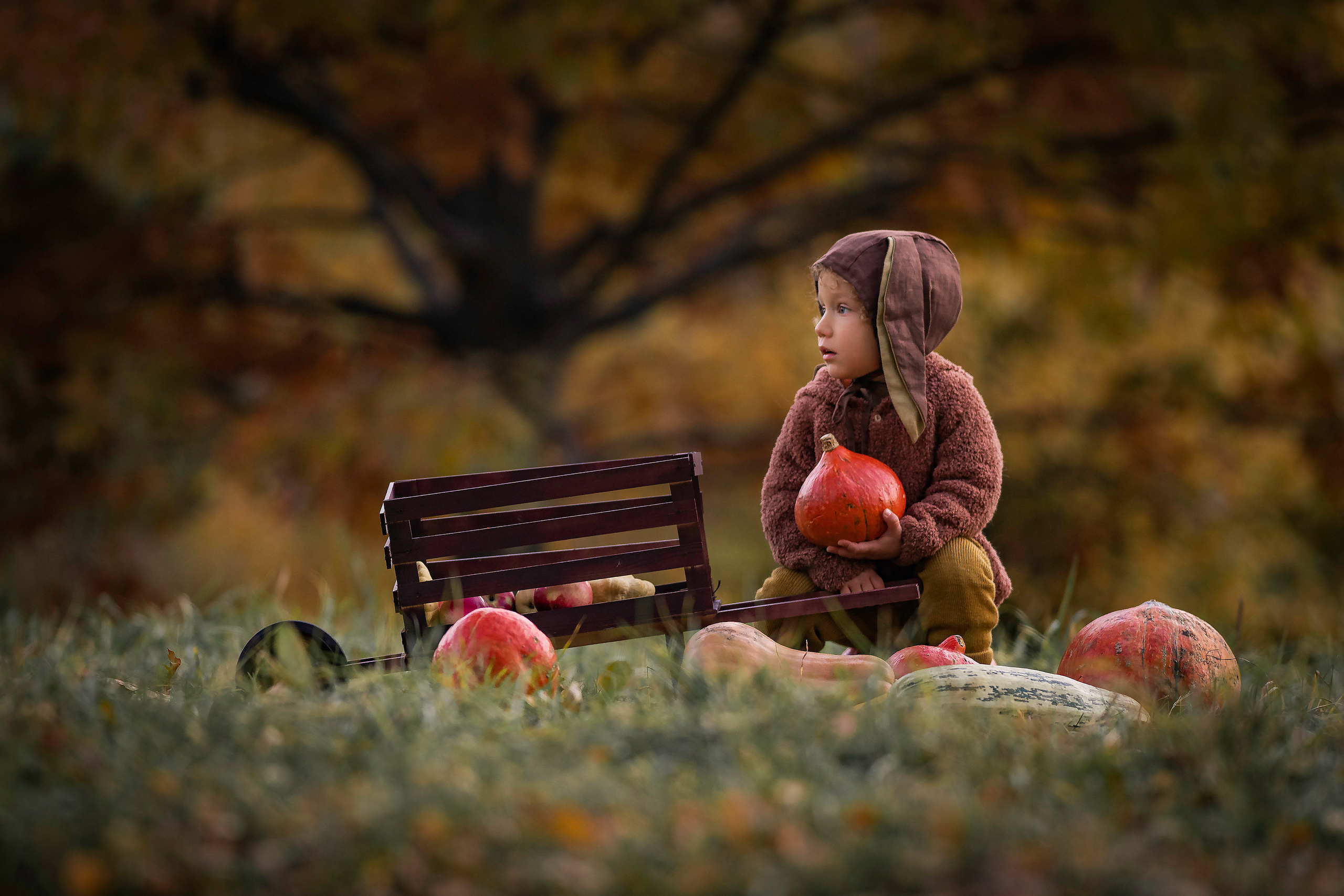 Овощи и малыши. Семейный фотограф Ефремова Виктория