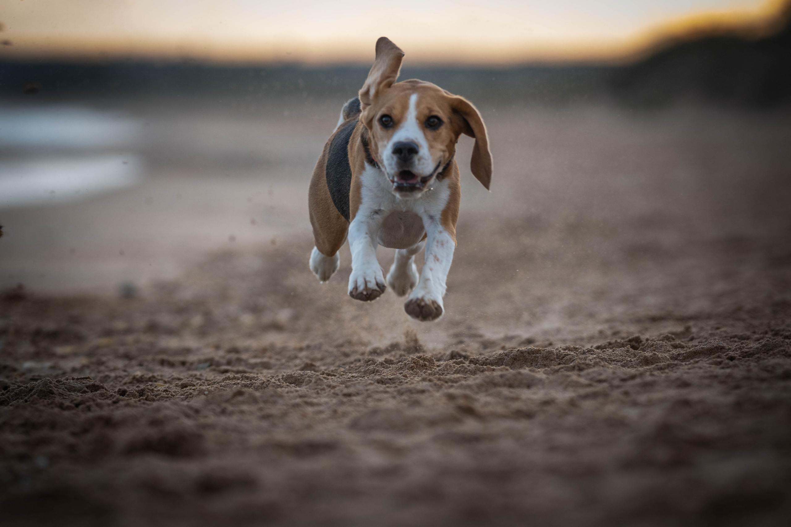 Два плюс два. Семейный фотограф Ефремова Виктория