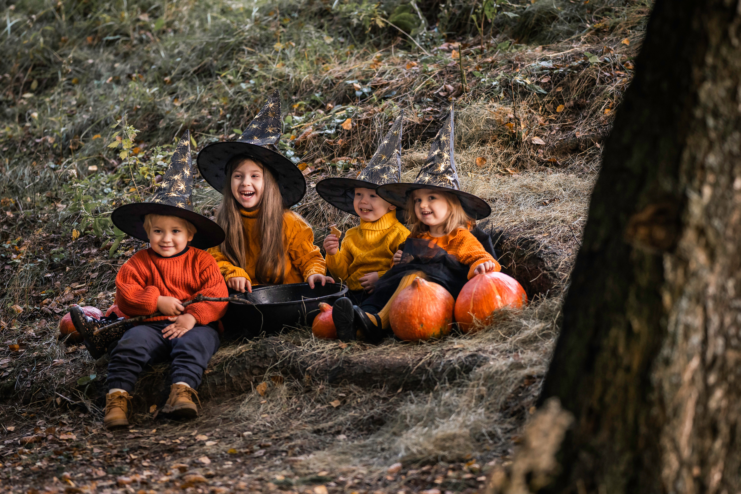 Тыковки). Семейный фотограф Ефремова Виктория