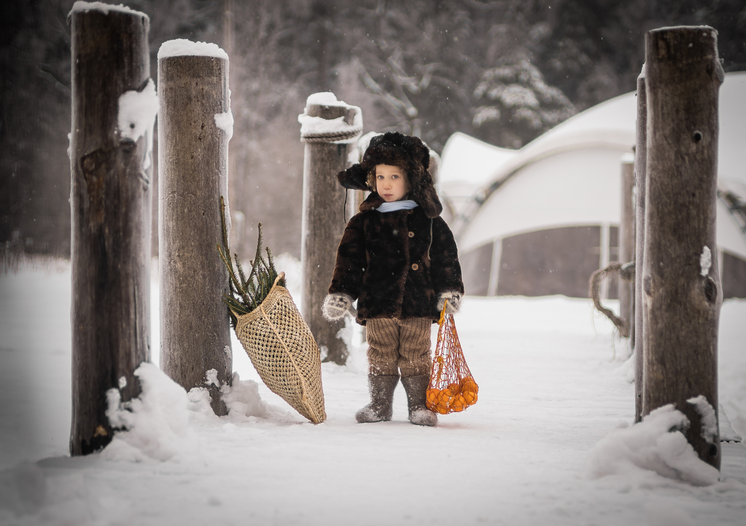 Пилигримм. Семейный фотограф Ефремова Виктория