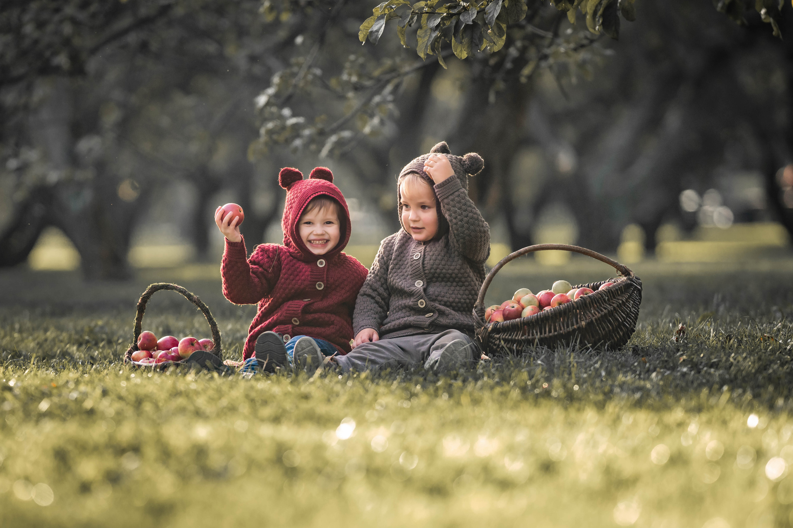 Про яблоки. Семейный фотограф Ефремова Виктория