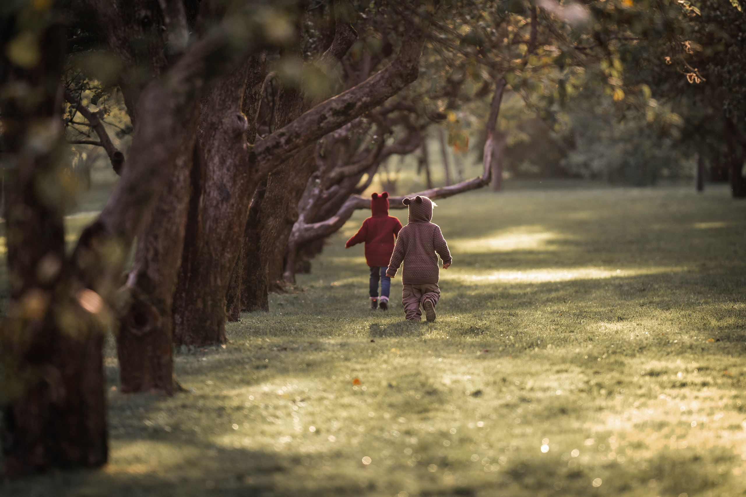 Про яблоки. Семейный фотограф Ефремова Виктория