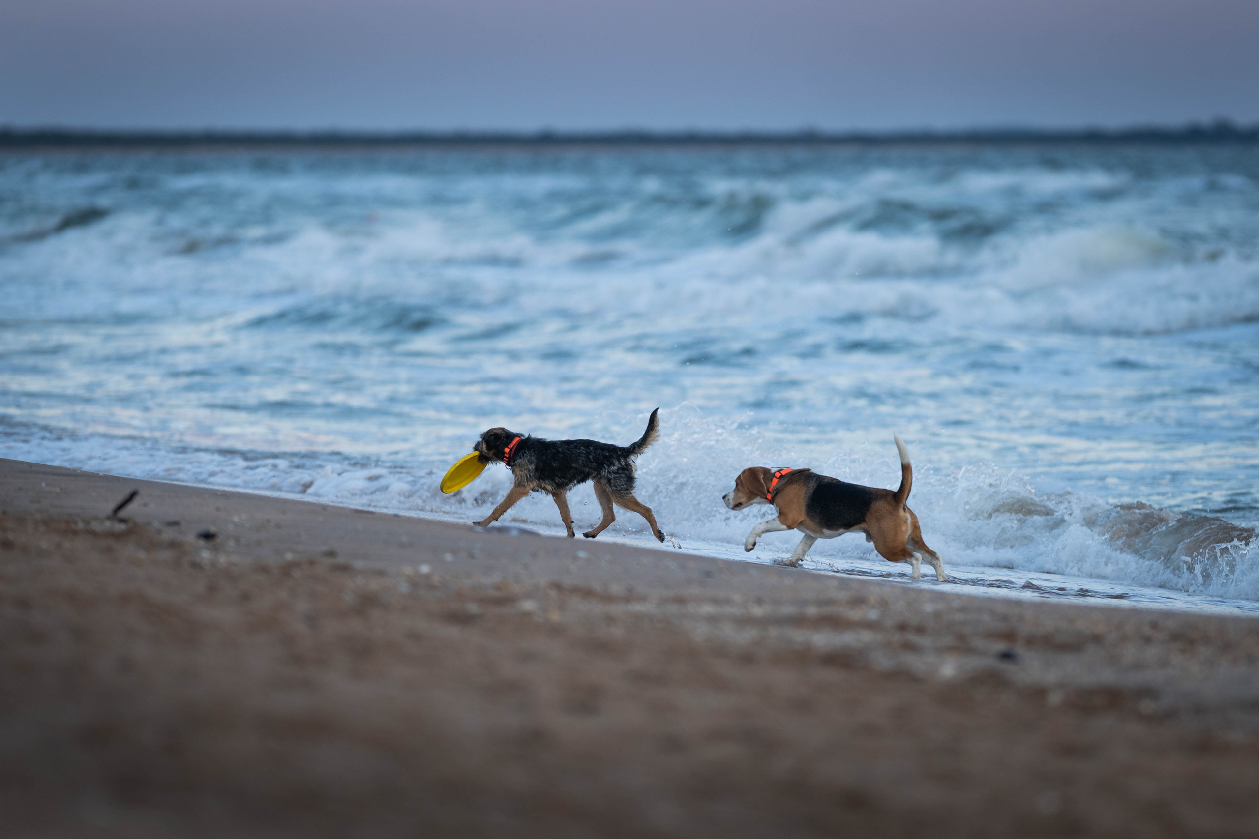 Два плюс два. Семейный фотограф Ефремова Виктория