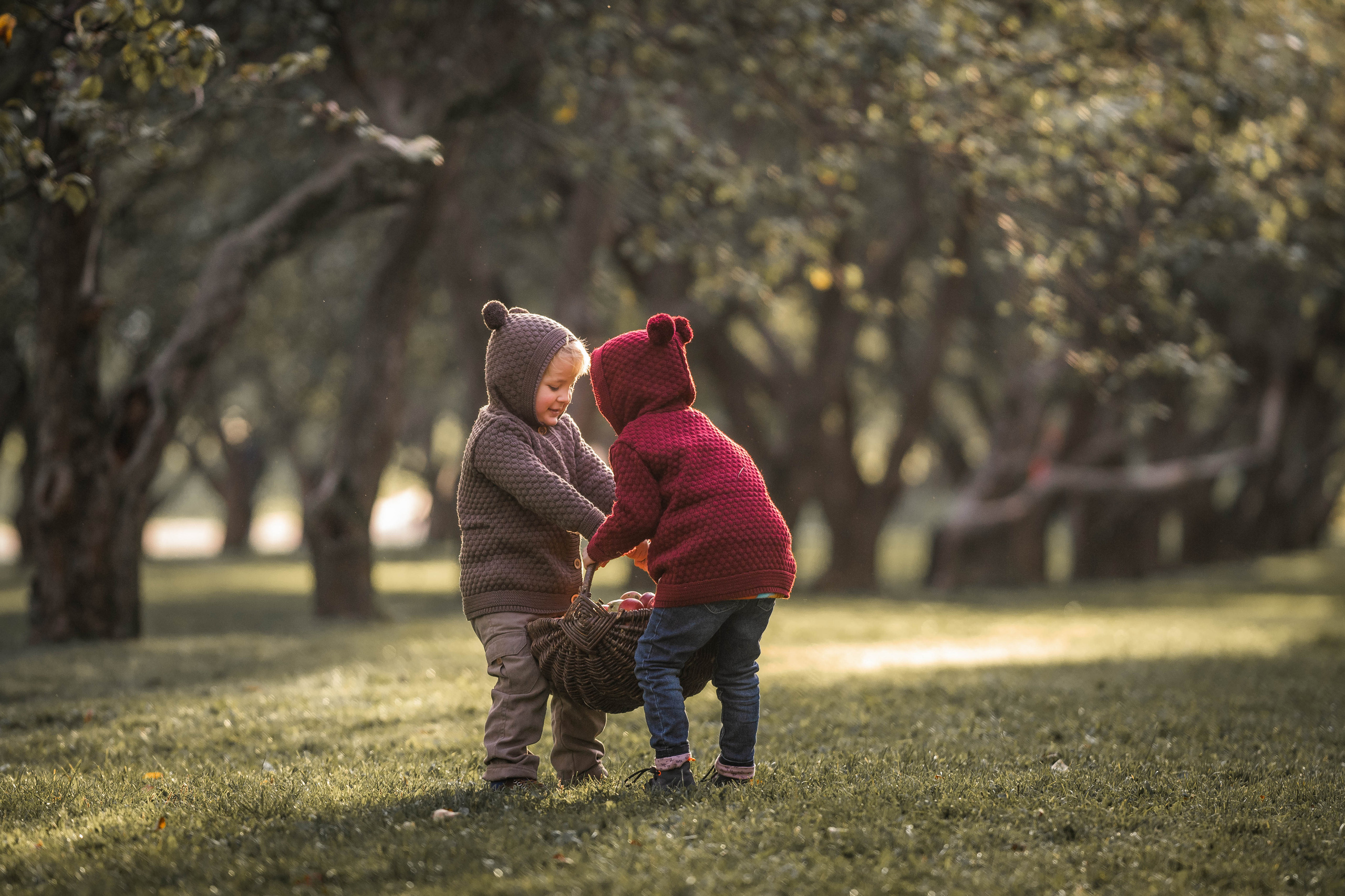 Про яблоки. Семейный фотограф Ефремова Виктория