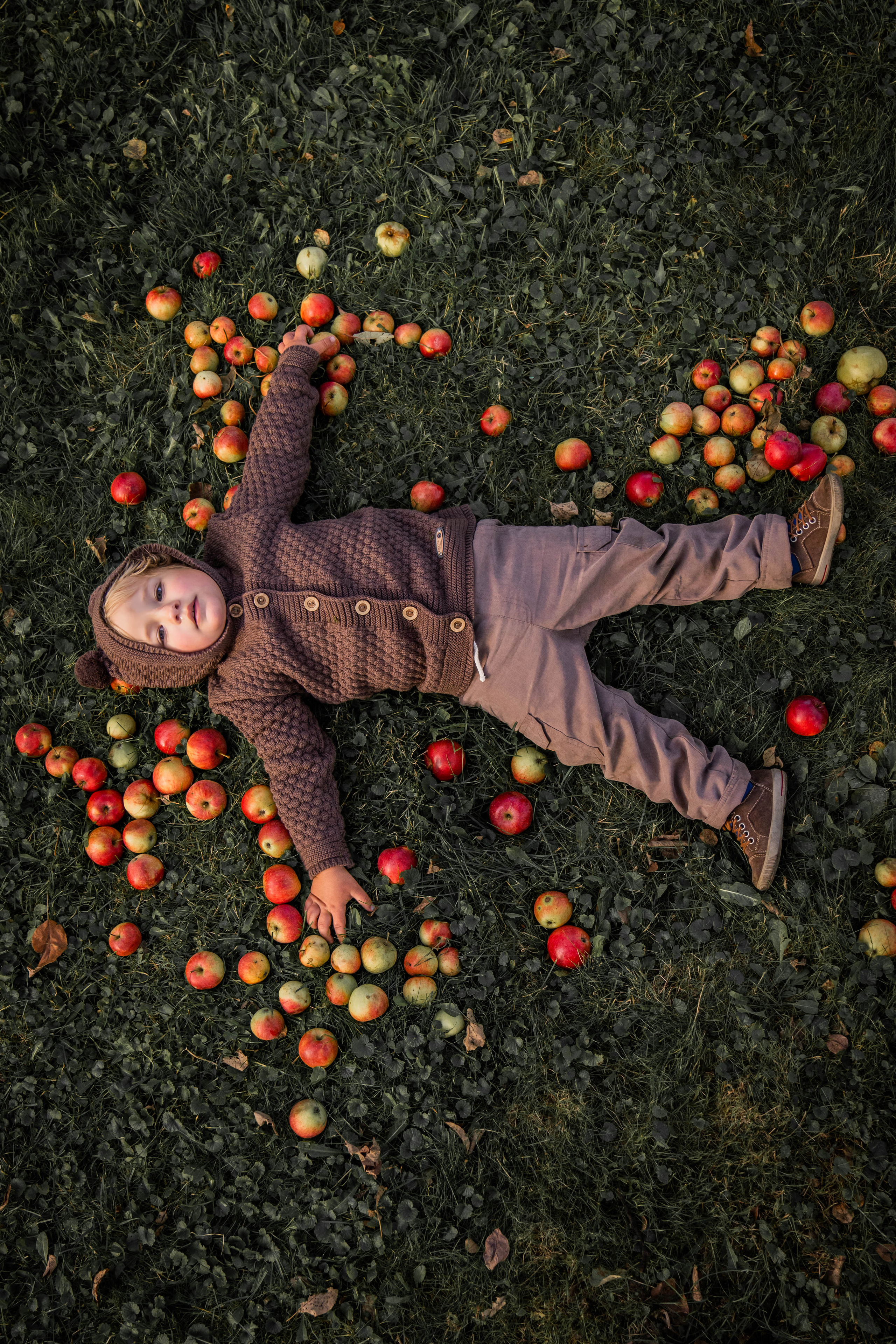 Про яблоки. Семейный фотограф Ефремова Виктория