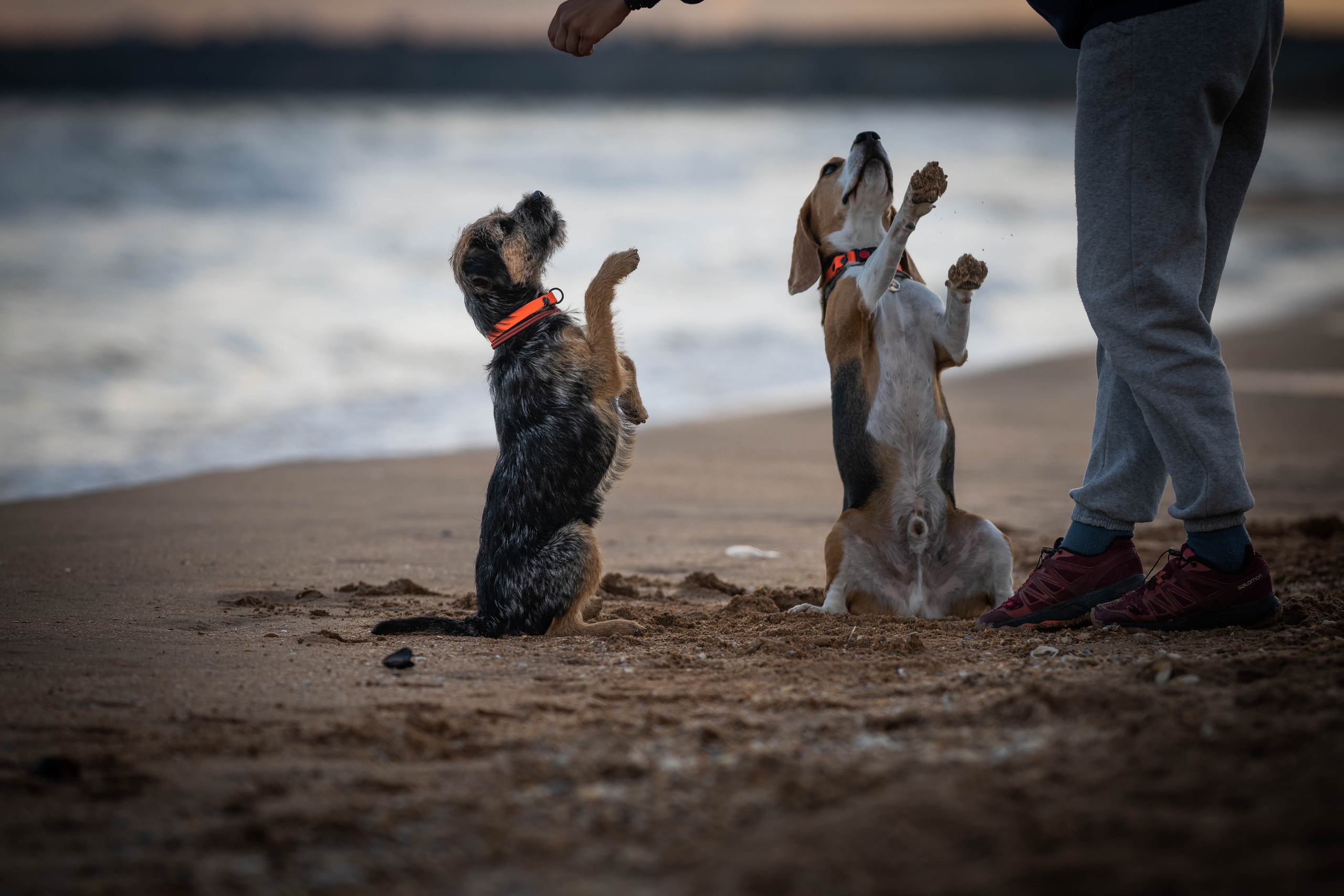 Два плюс два. Семейный фотограф Ефремова Виктория