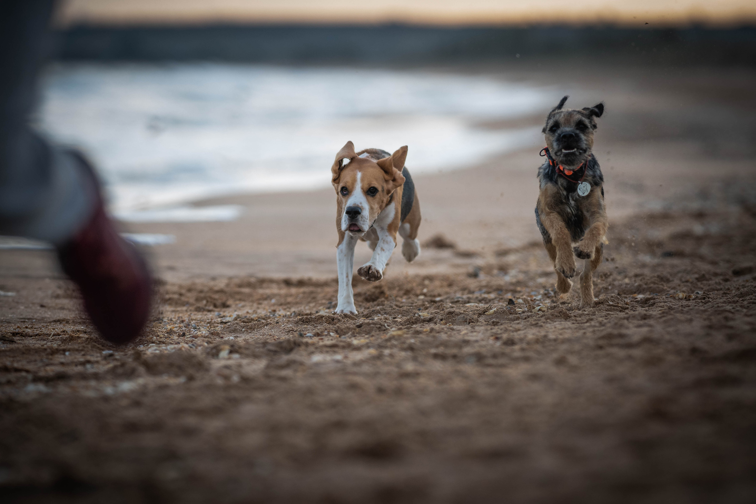 Два плюс два. Семейный фотограф Ефремова Виктория