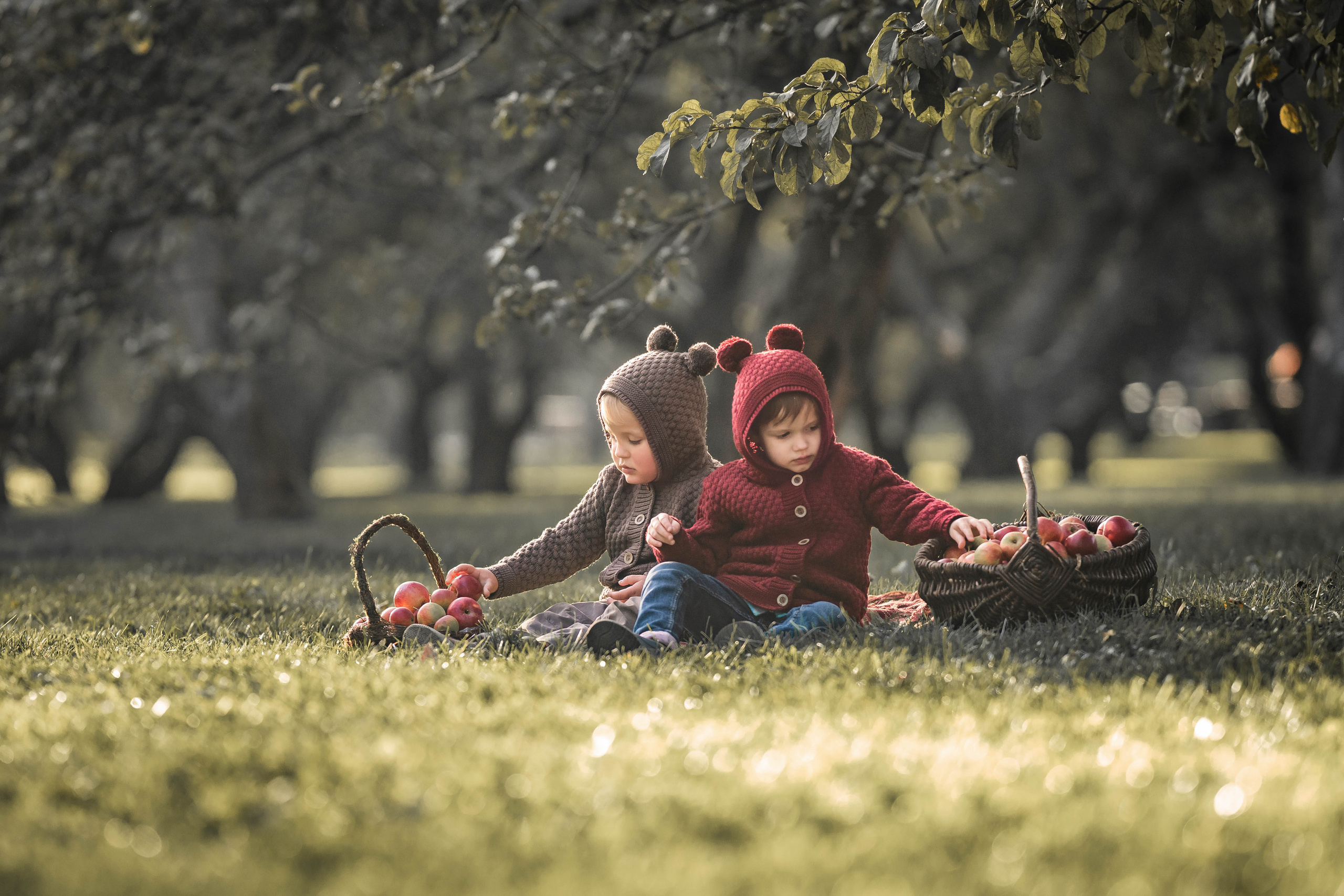 Про яблоки. Семейный фотограф Ефремова Виктория