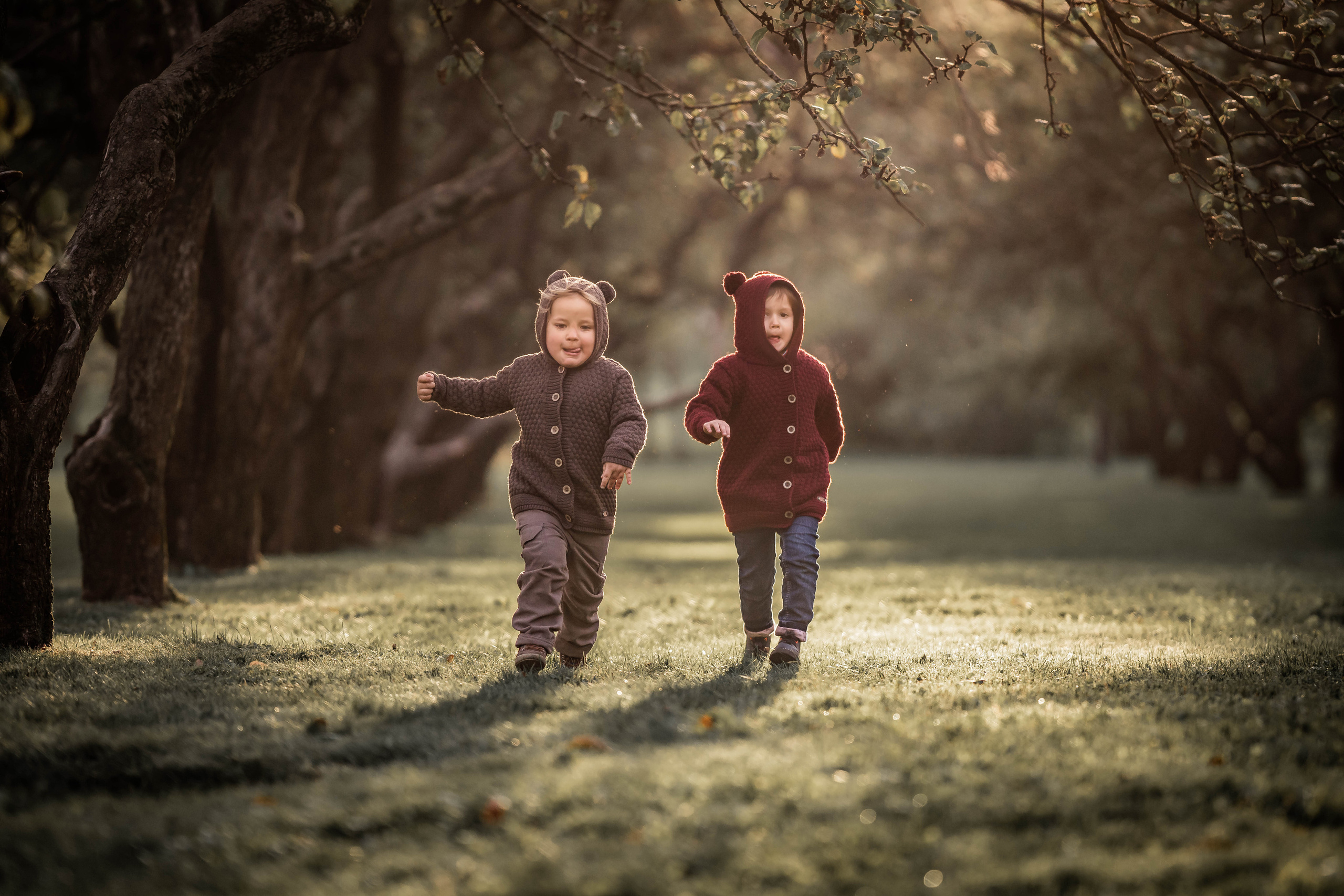 Про яблоки. Семейный фотограф Ефремова Виктория
