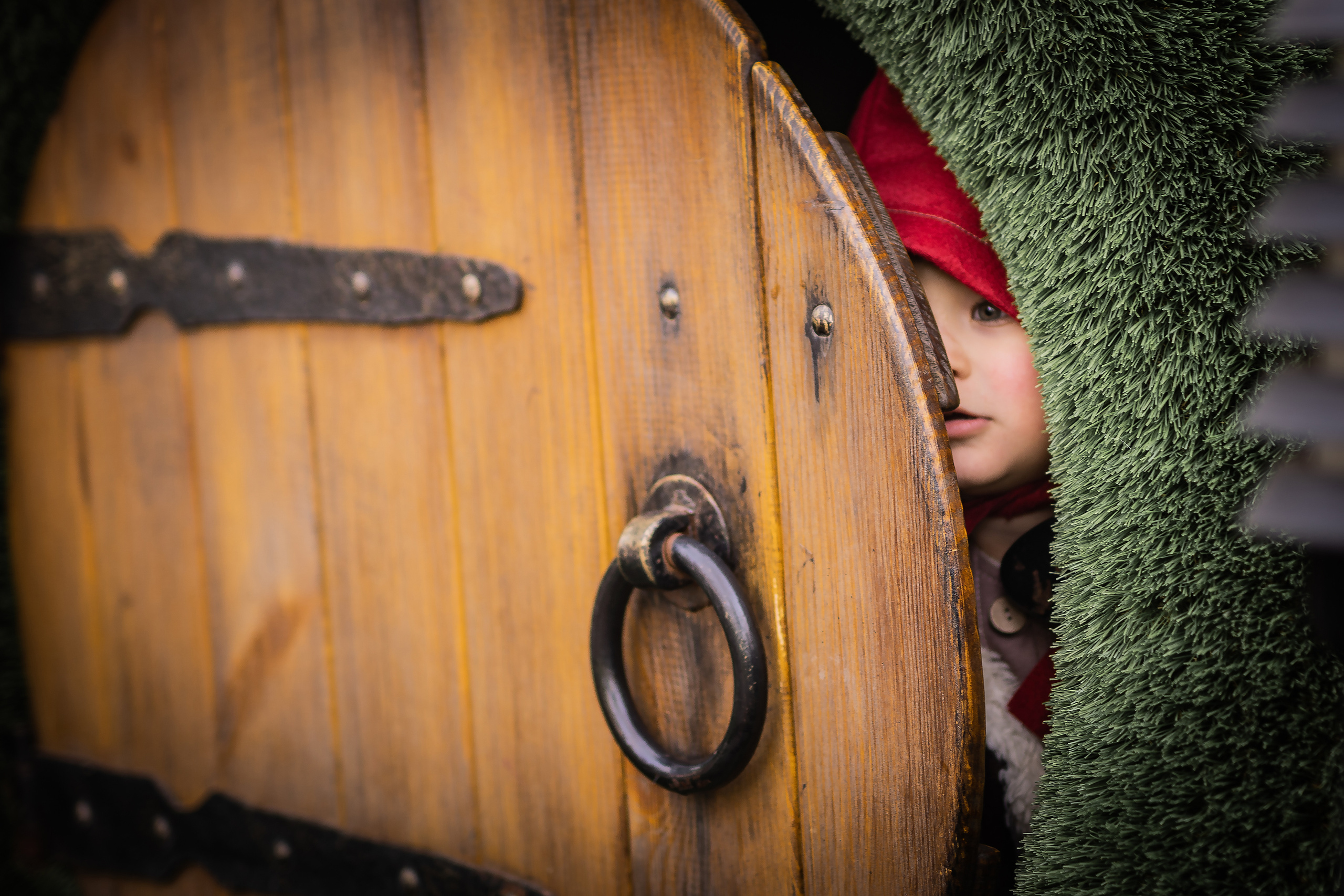 Гномы. Семейный фотограф Ефремова Виктория