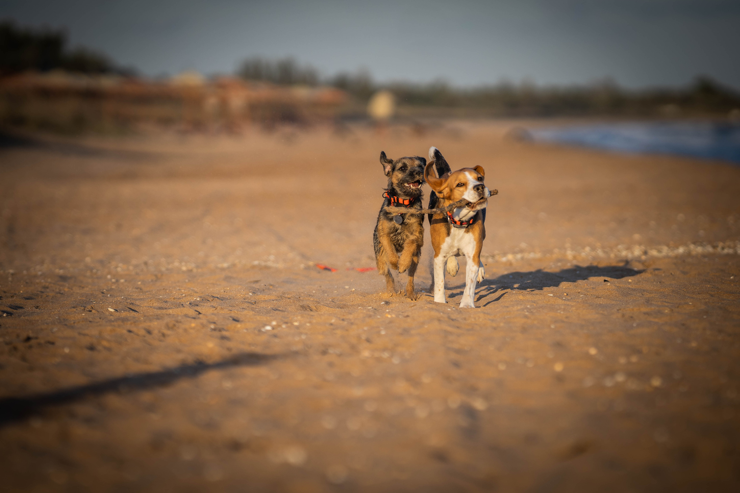 Два плюс два. Семейный фотограф Ефремова Виктория