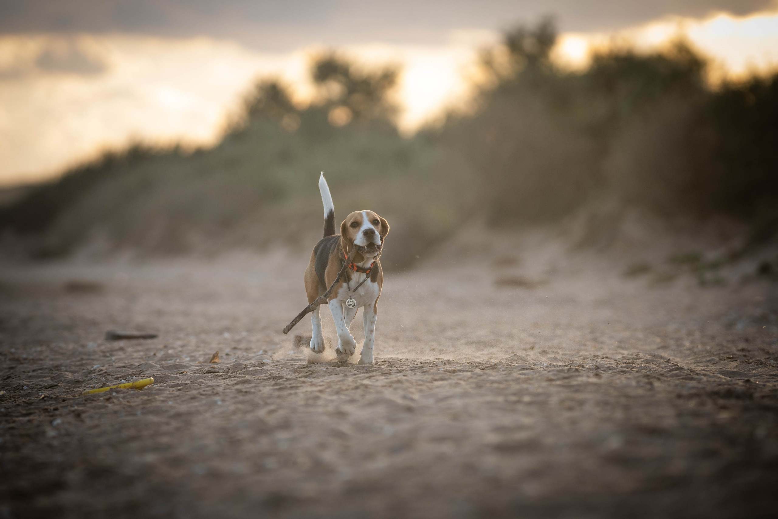 Два плюс два. Семейный фотограф Ефремова Виктория