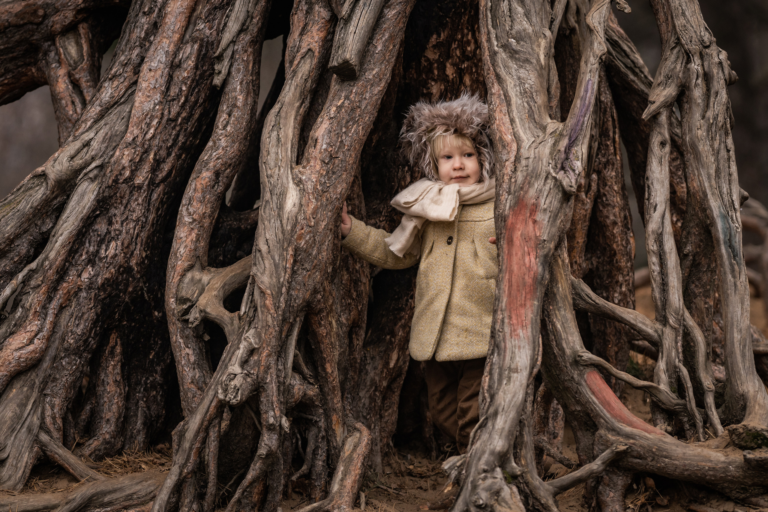 Серебряный Бор. Семейный фотограф Ефремова Виктория