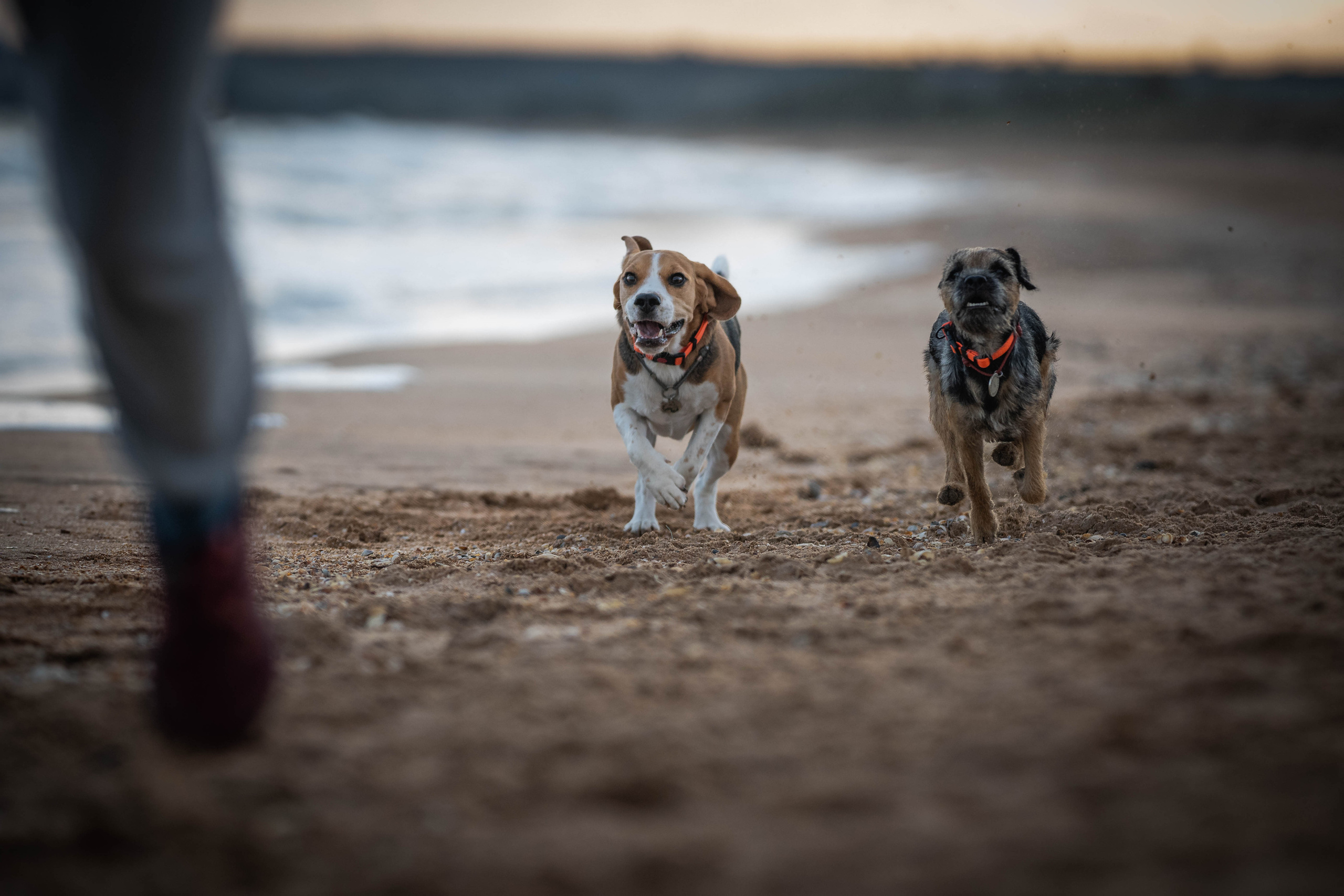 Два плюс два. Семейный фотограф Ефремова Виктория