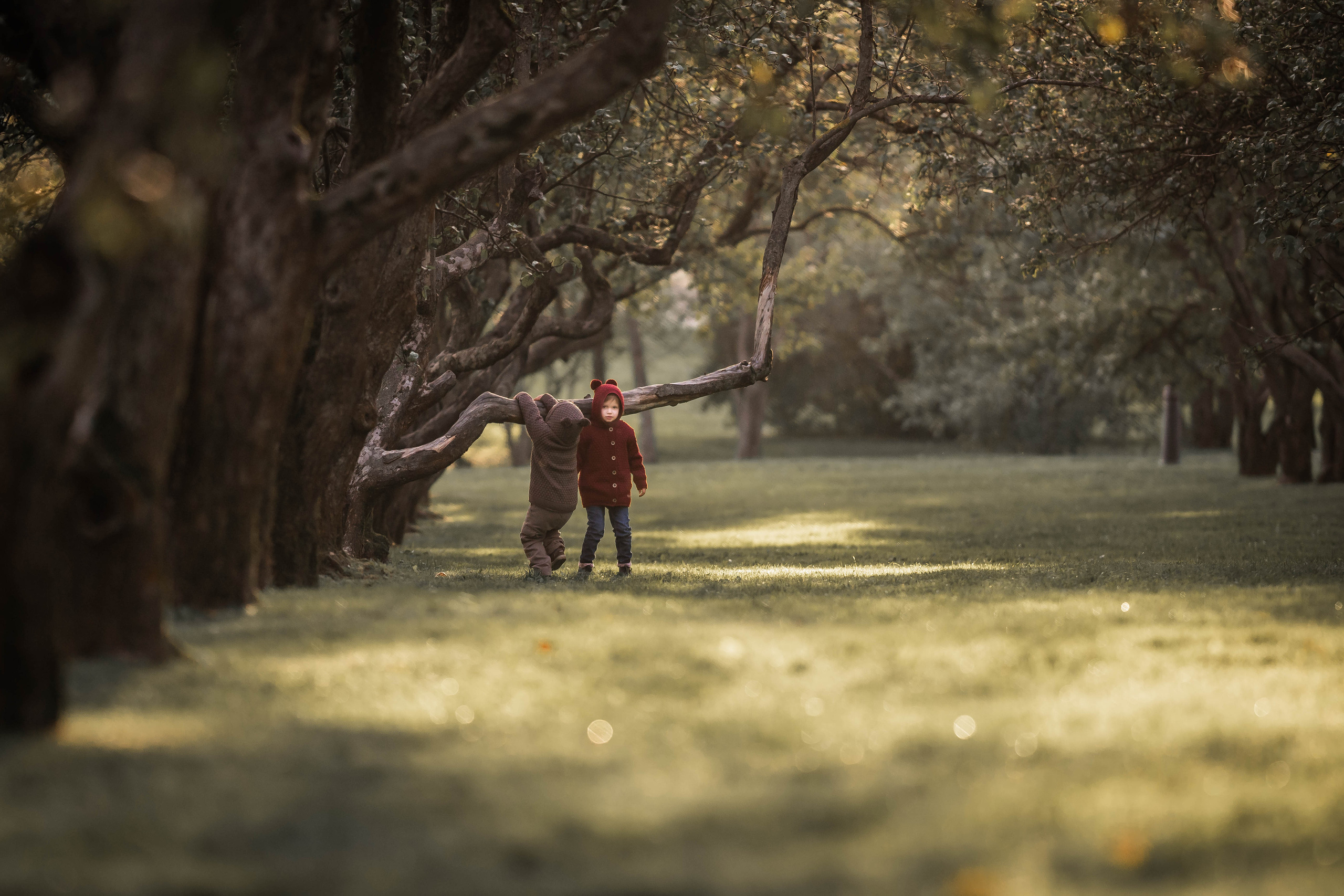 Про яблоки. Семейный фотограф Ефремова Виктория