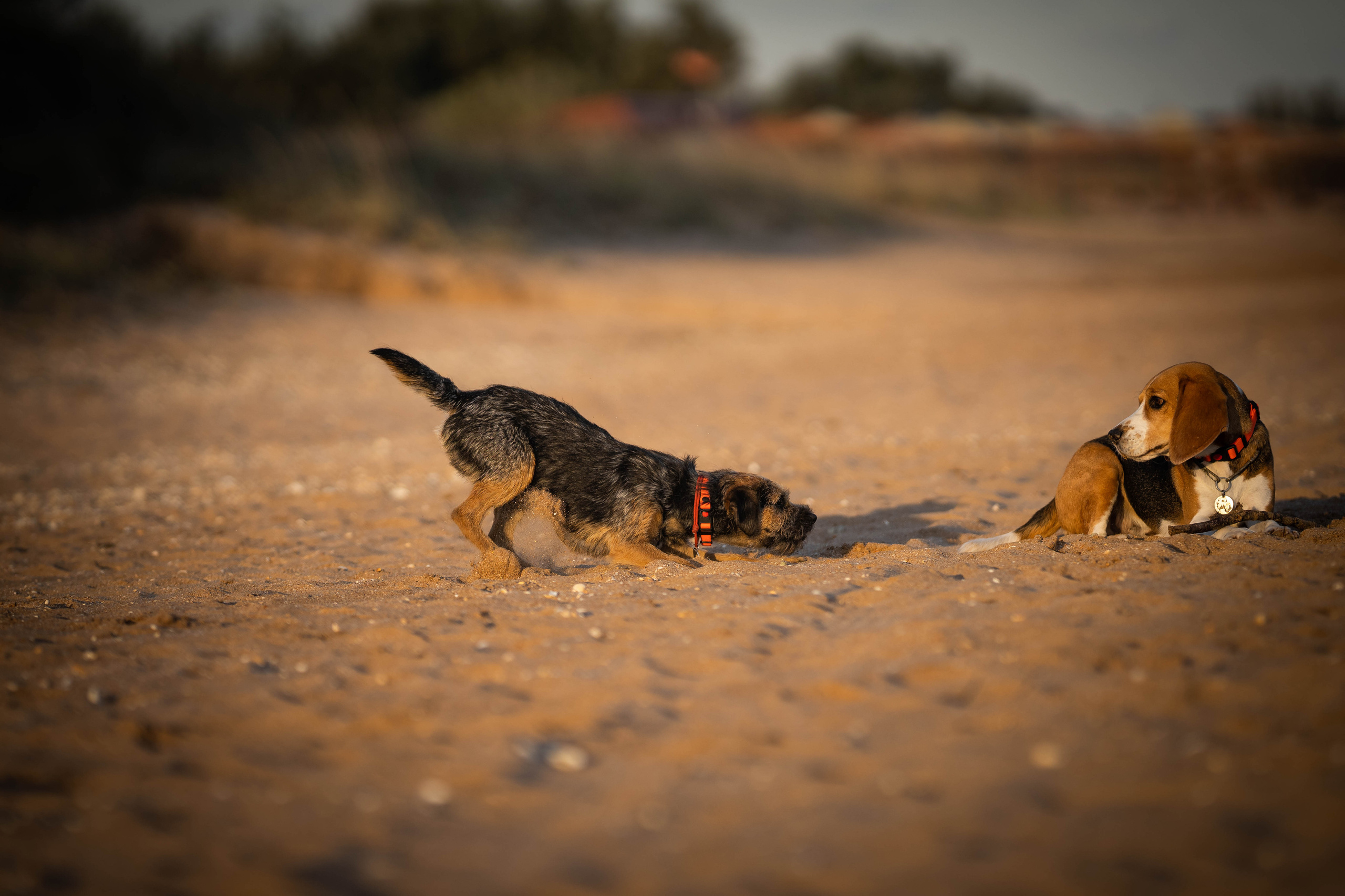 Два плюс два. Семейный фотограф Ефремова Виктория