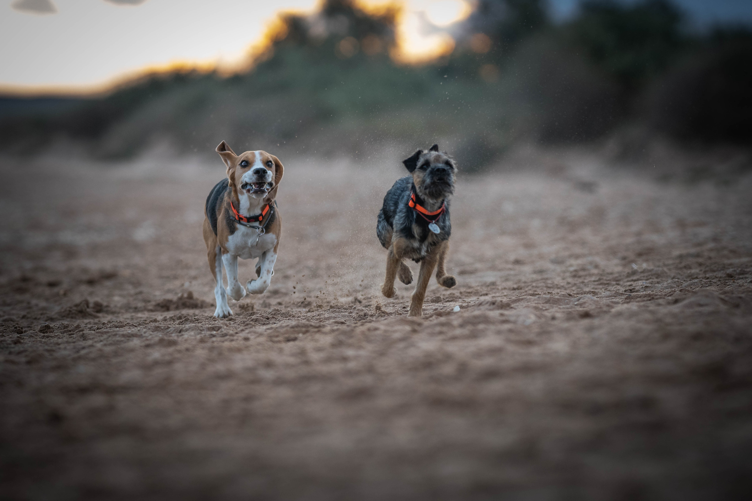 Два плюс два. Семейный фотограф Ефремова Виктория
