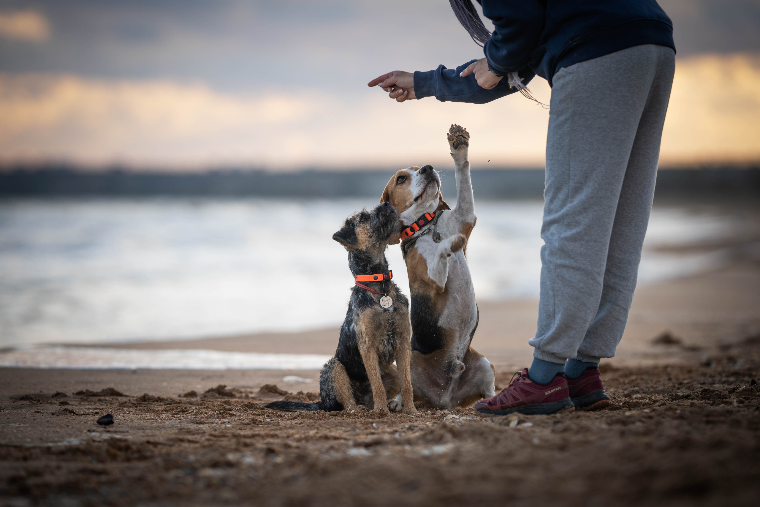Два плюс два. Семейный фотограф Ефремова Виктория
