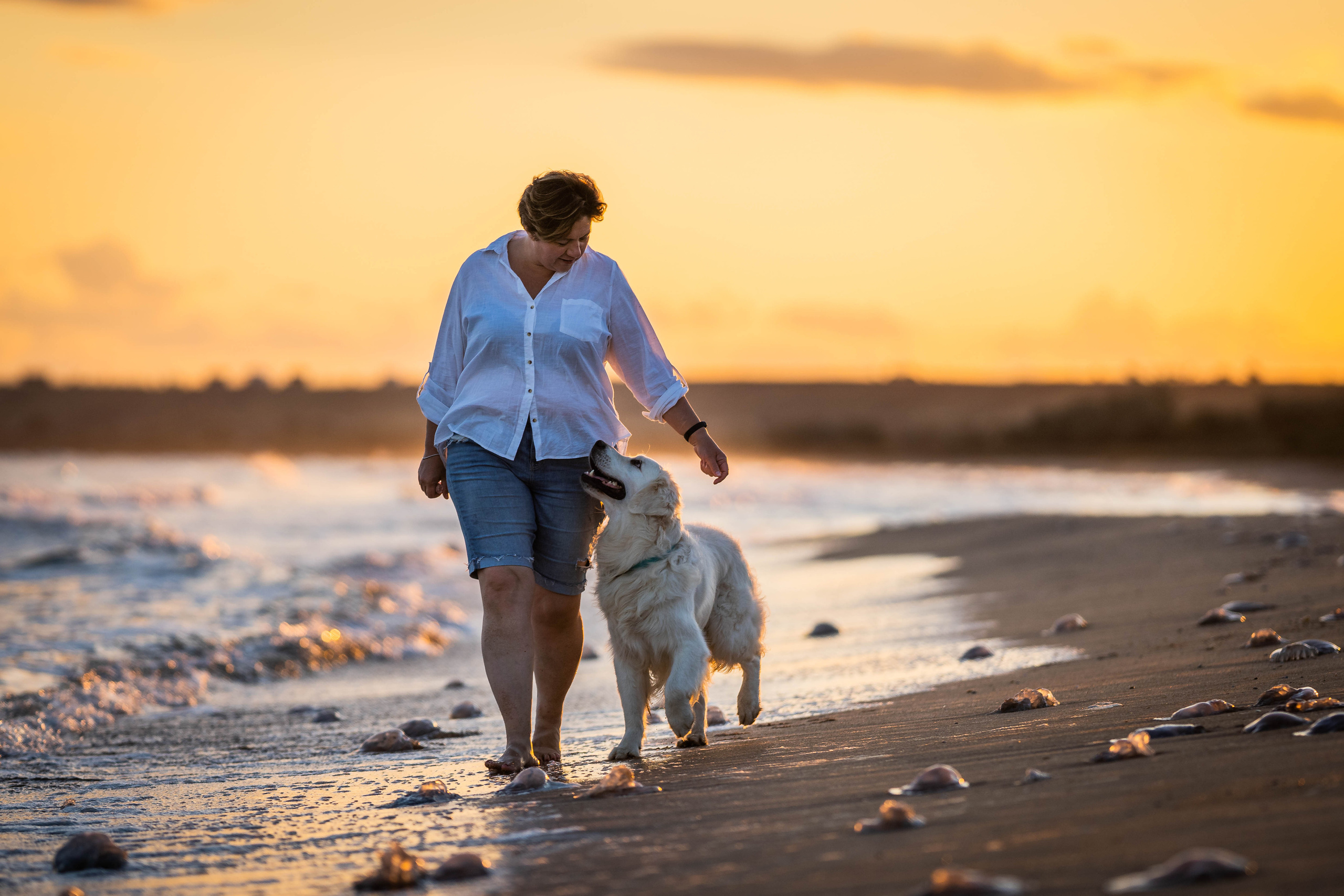 Человек и собака. Семейный фотограф Ефремова Виктория