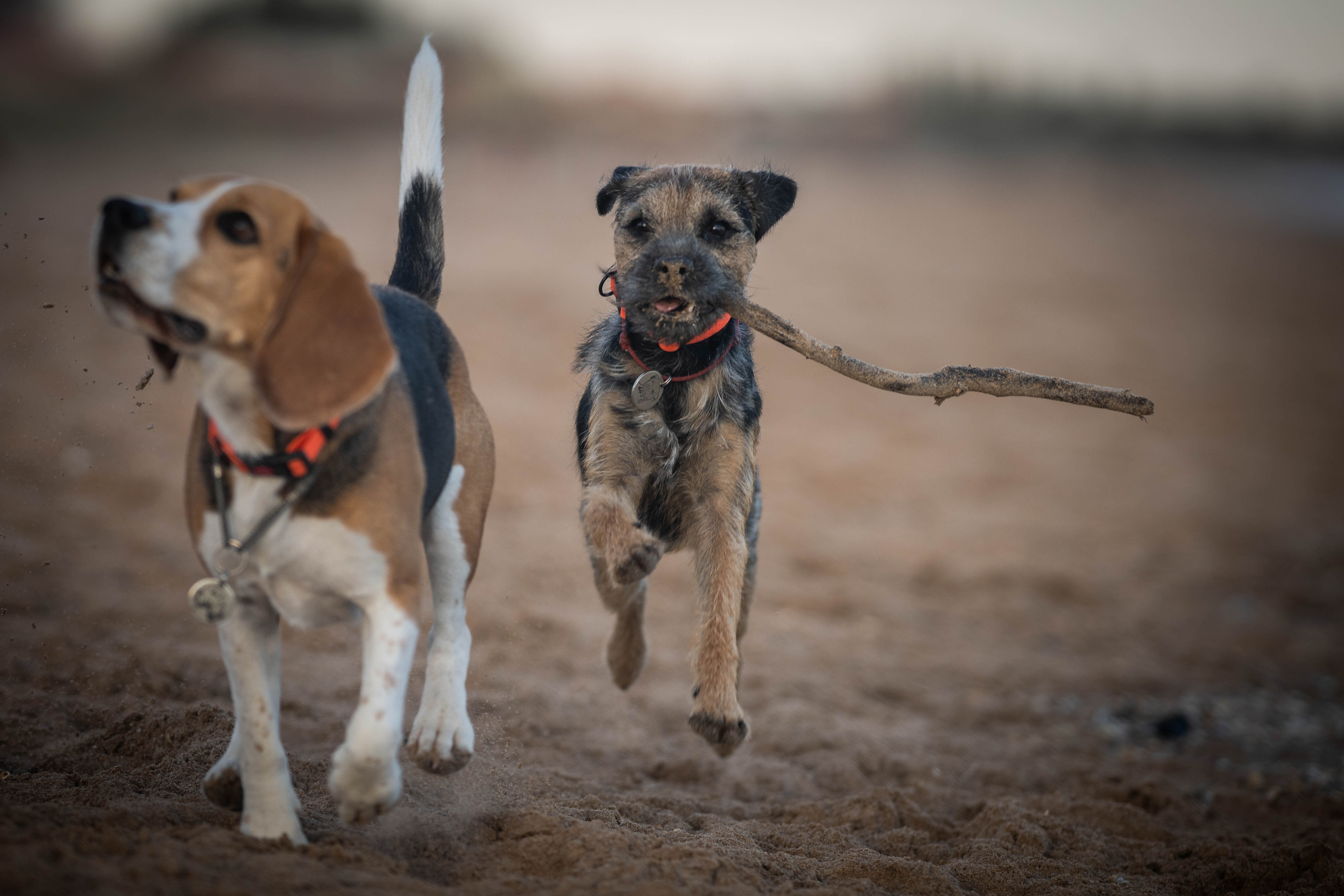 Два плюс два. Семейный фотограф Ефремова Виктория