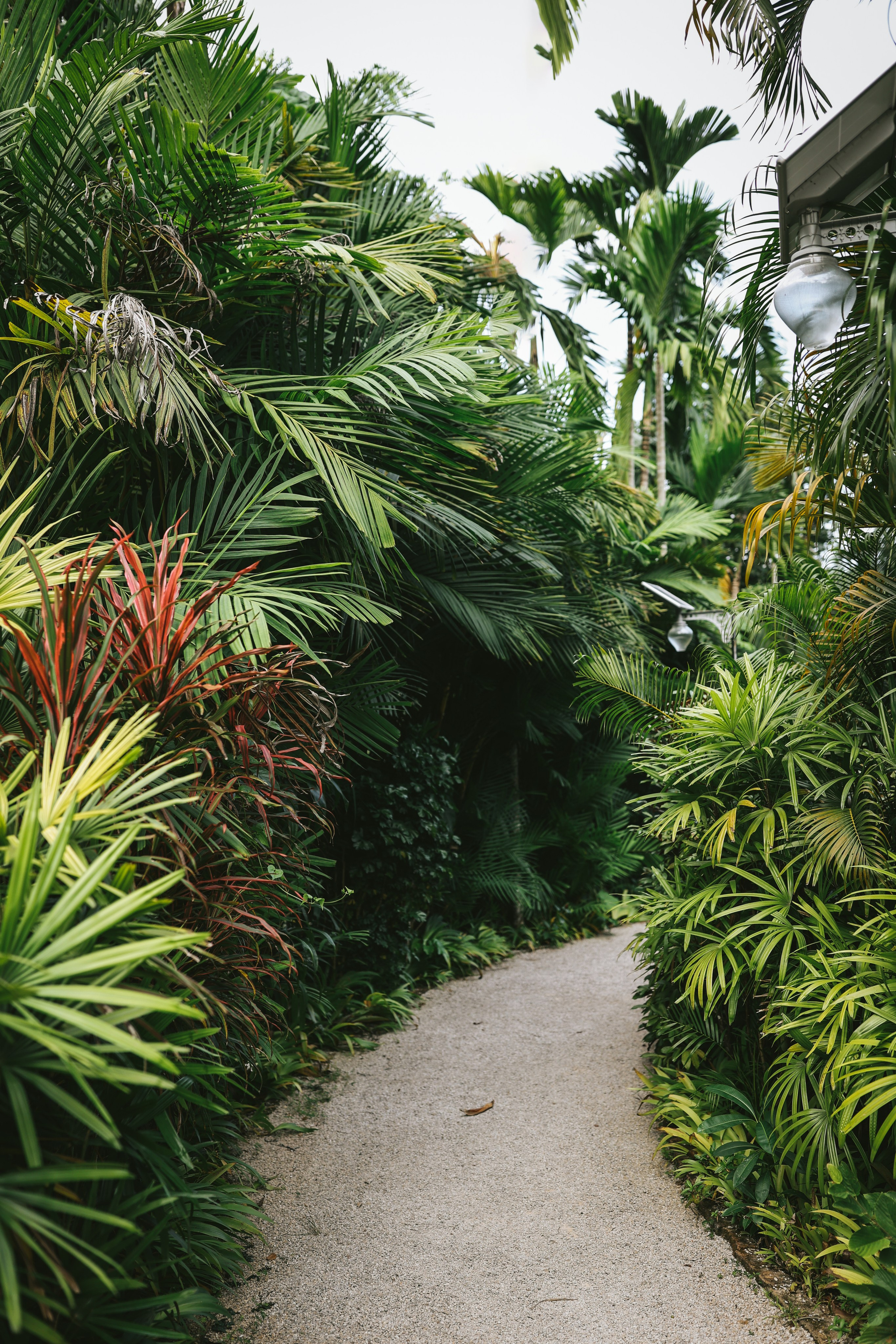 Thailand / Ban Sainai Resort. Ekaterina Buneeva Photography