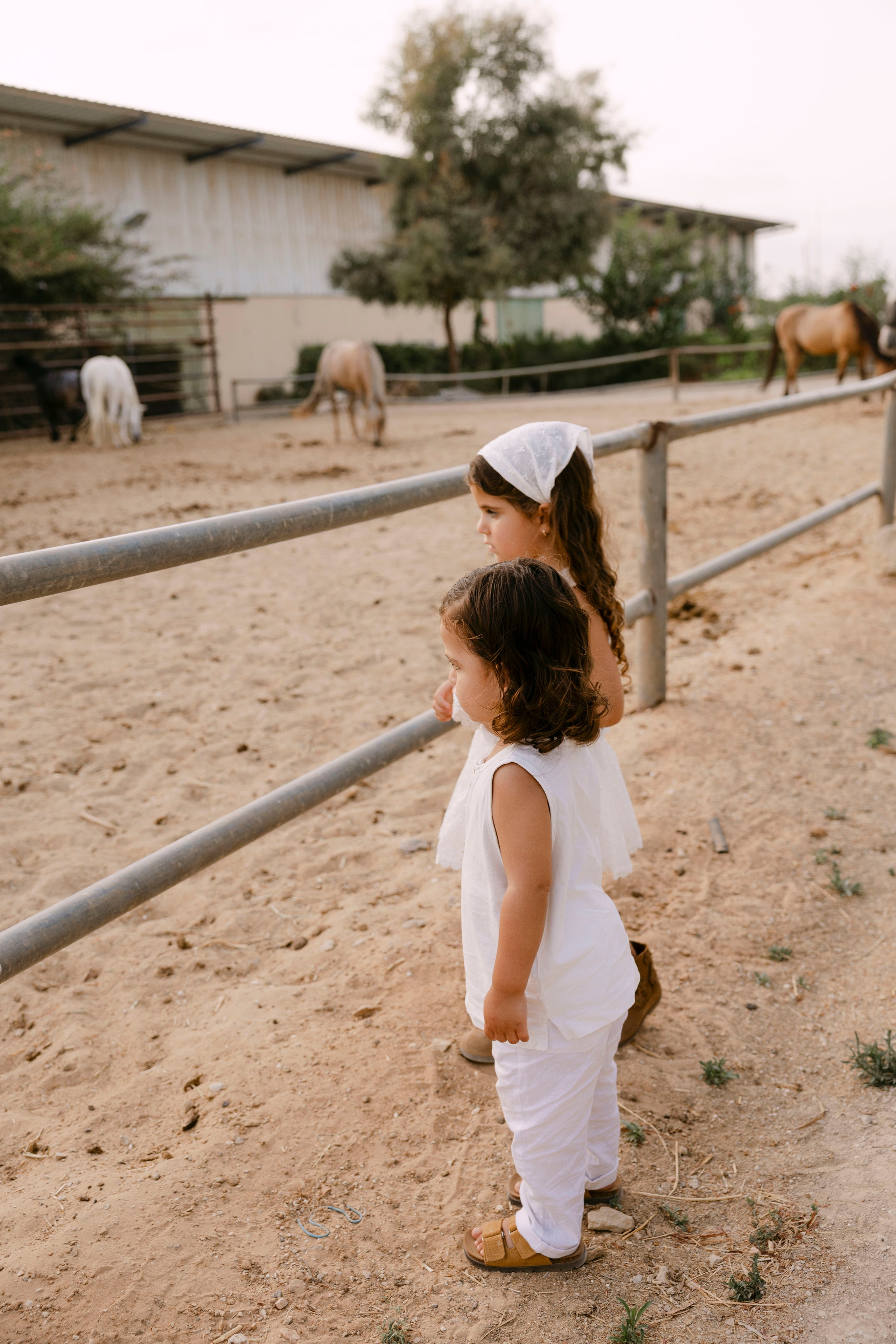 Pregnancy photoshoot at the horse farm. Главная