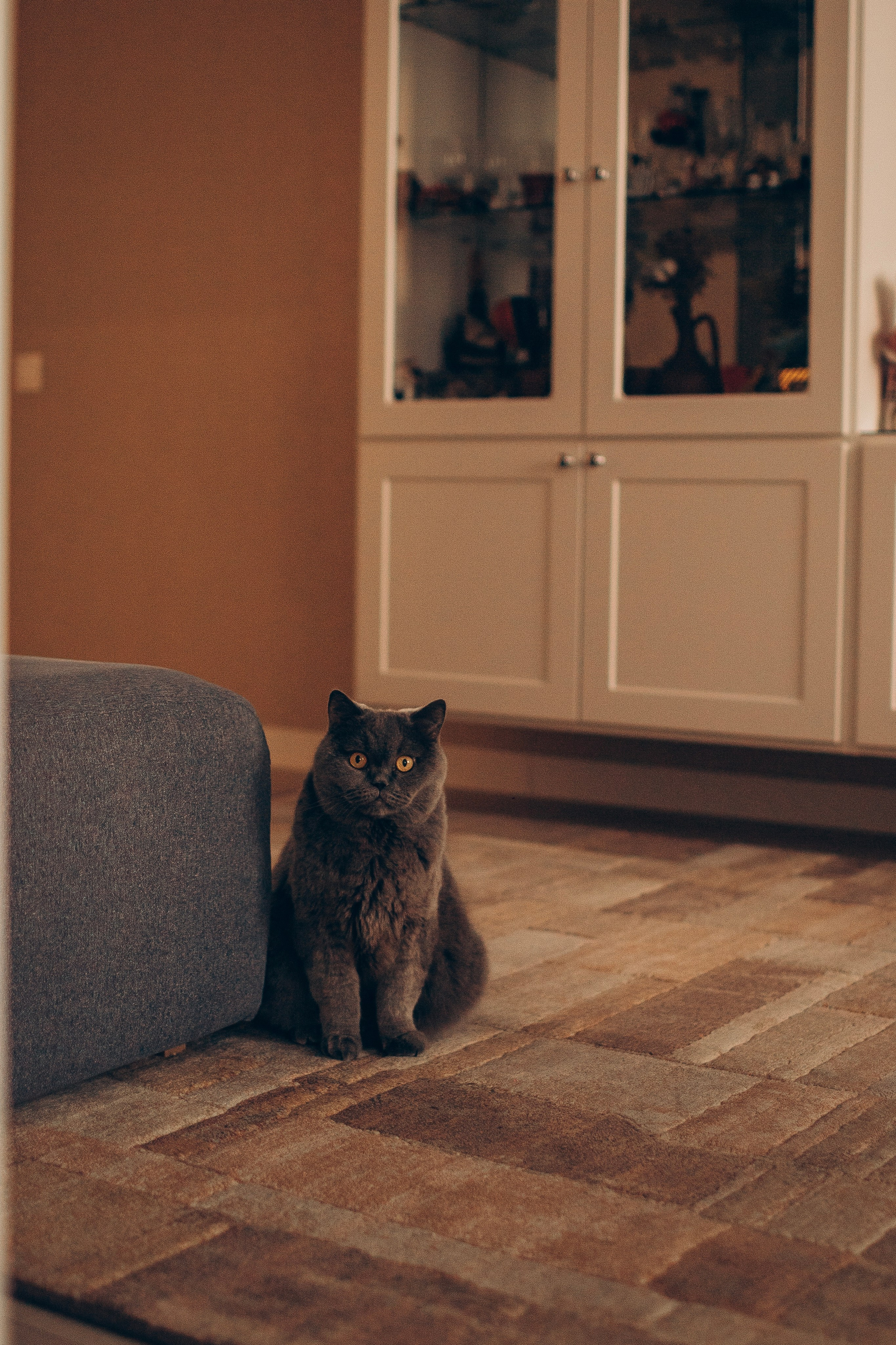 Семья Вебер. Семейная съемка — это красивый способ признаться своей семье в любви