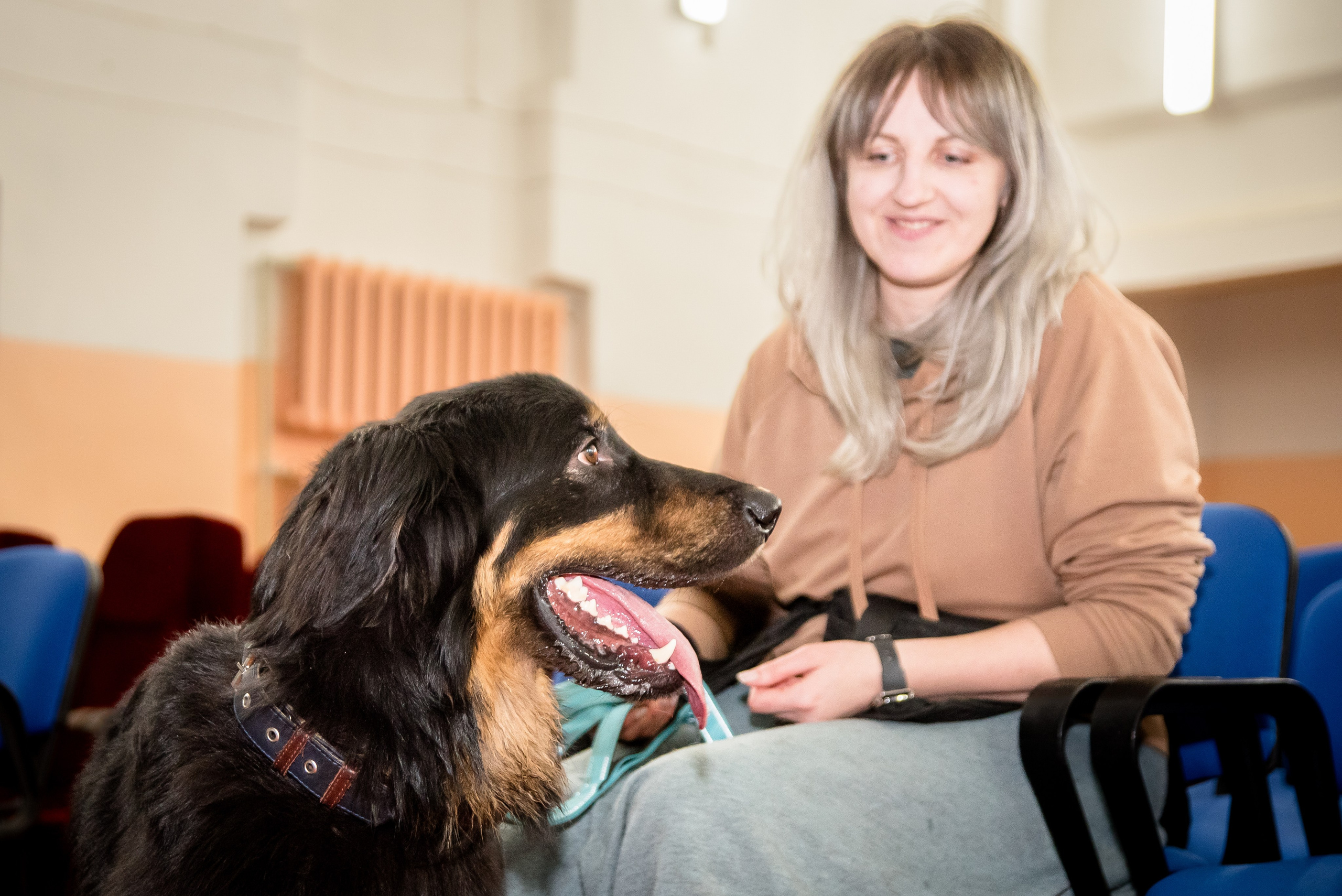 Фотосъёмка с собаками в Кинологическом лагере. Фотограф Макс Огурцов в Нижнем Новгороде