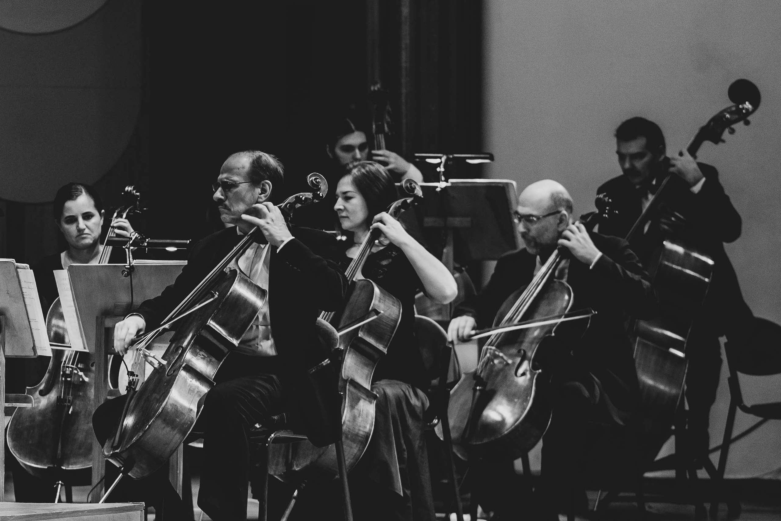 Самарская филармония. Семейный, Детский, Контент фотограф в Самаре Renatto (Ренат Алимбиков)