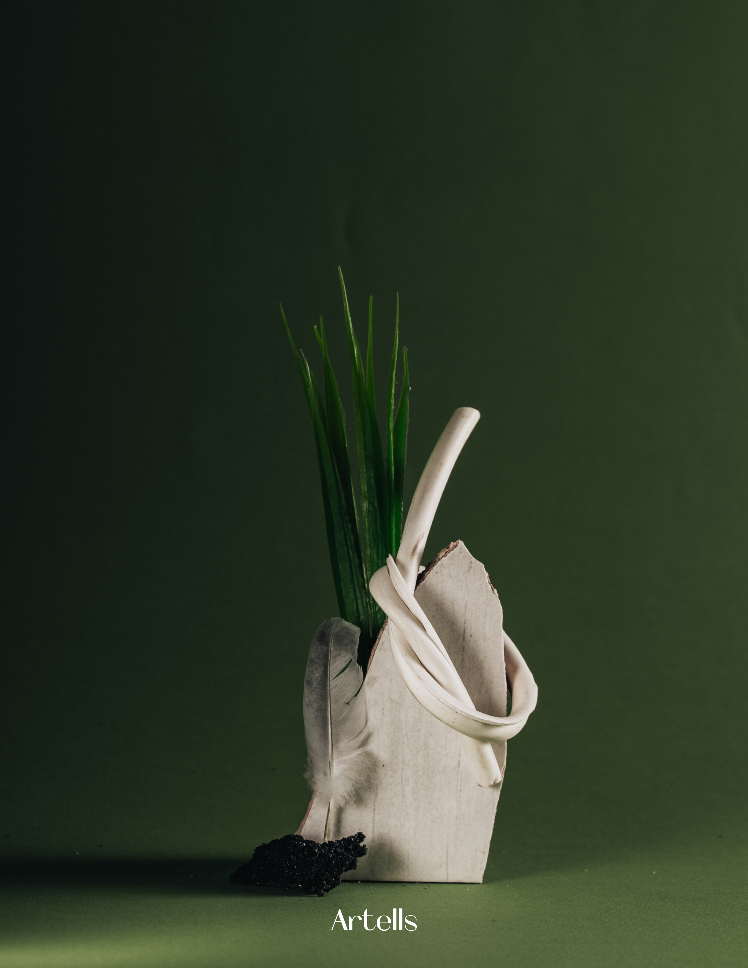 Artells Volume 1899. Асель Рембекова