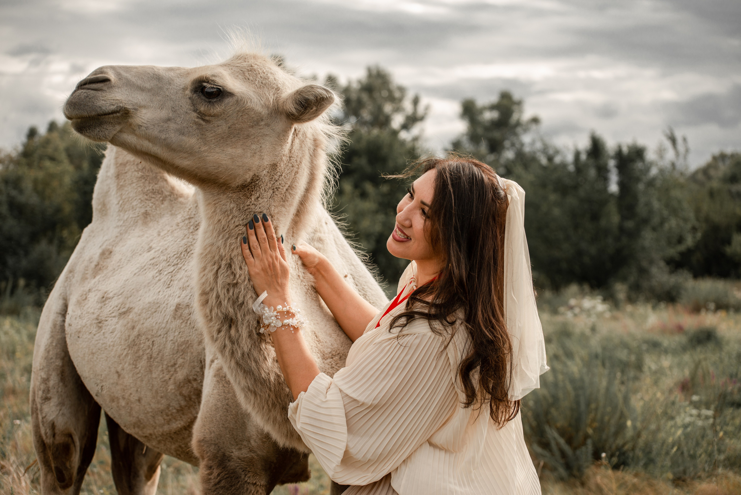 Юбилей Александра и Ирины с вятскими лошадьми. Конный фотограф в Саратове Юлия Иванова