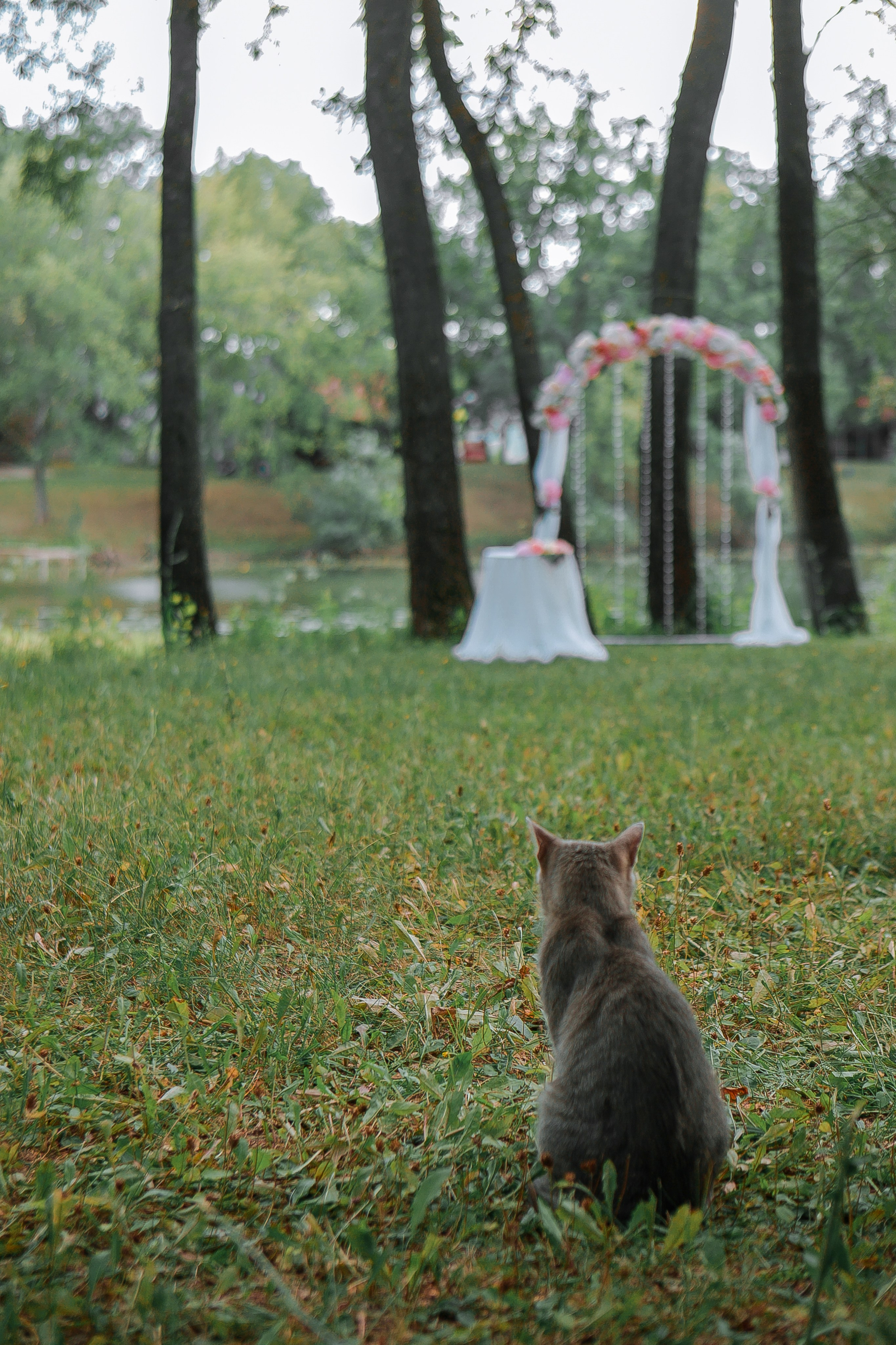 Алые паруса. Свадебный фотограф в Москве, Самаре, Тольятти