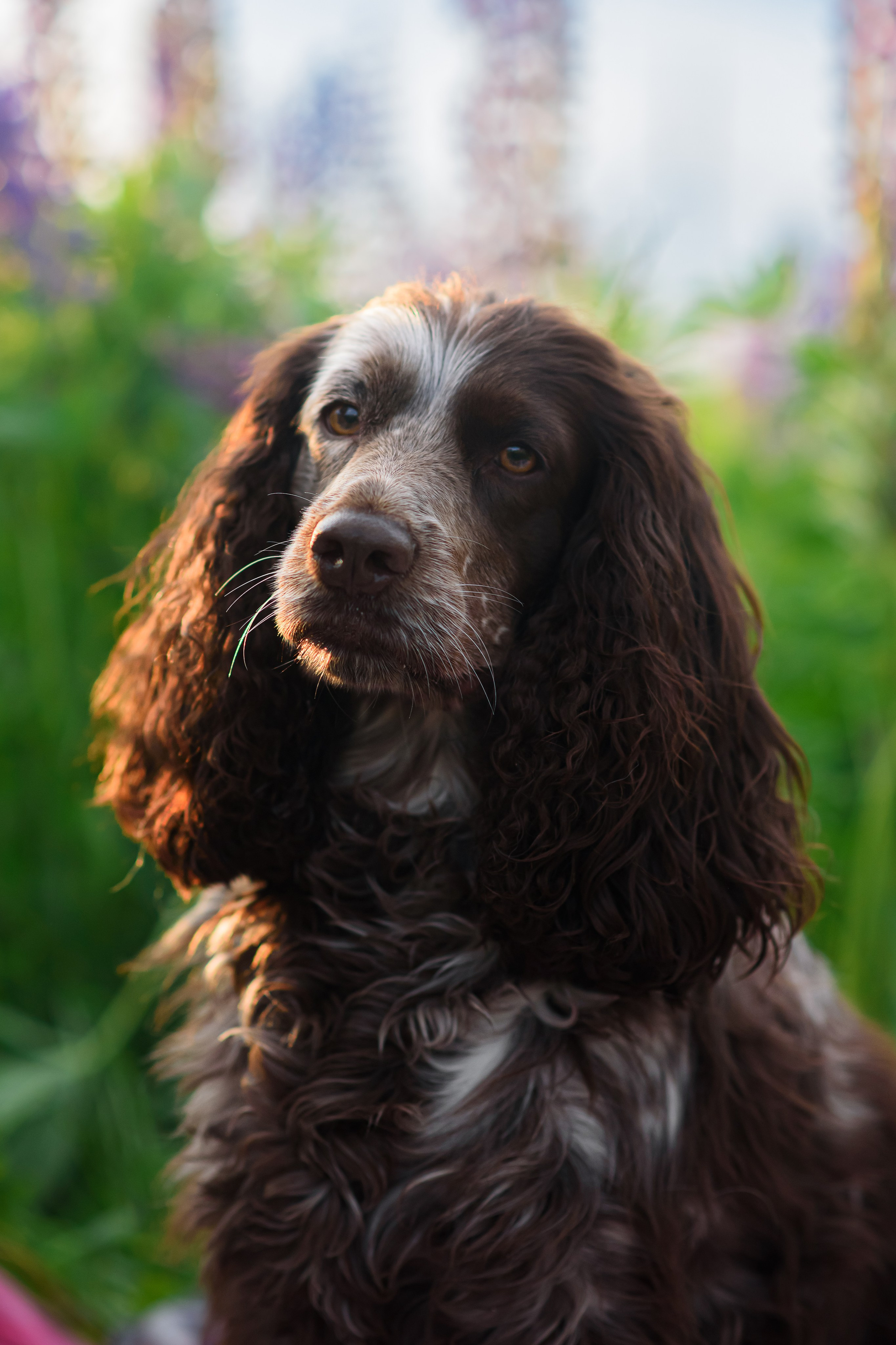 Света и Рей — 09.06.2024. Фотограф — Анималист | Анна Абрамова