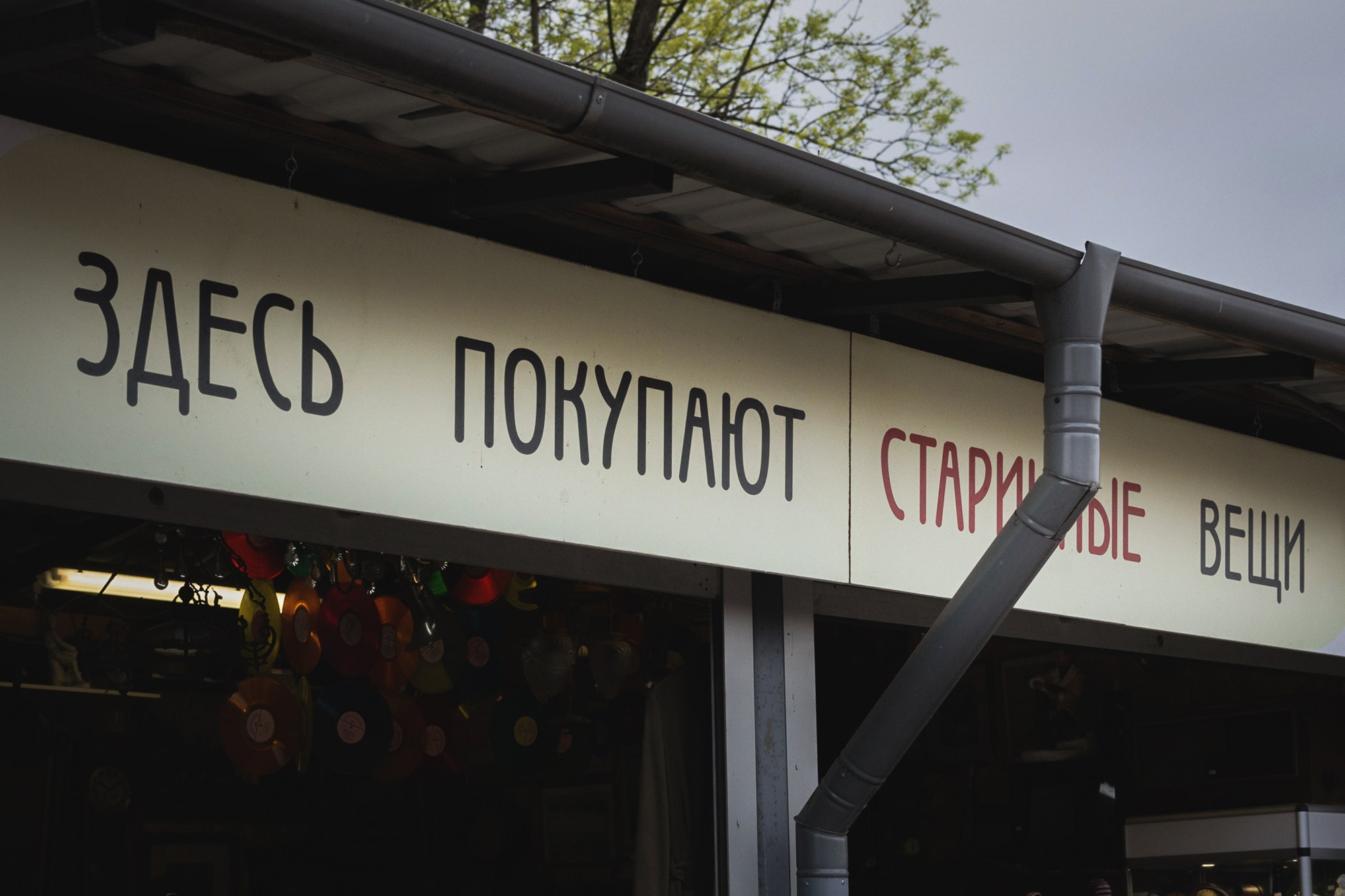 УДЕЛьная и её жизнь. Фотограф портретист в Санкт Петербурге Дроздова Алла