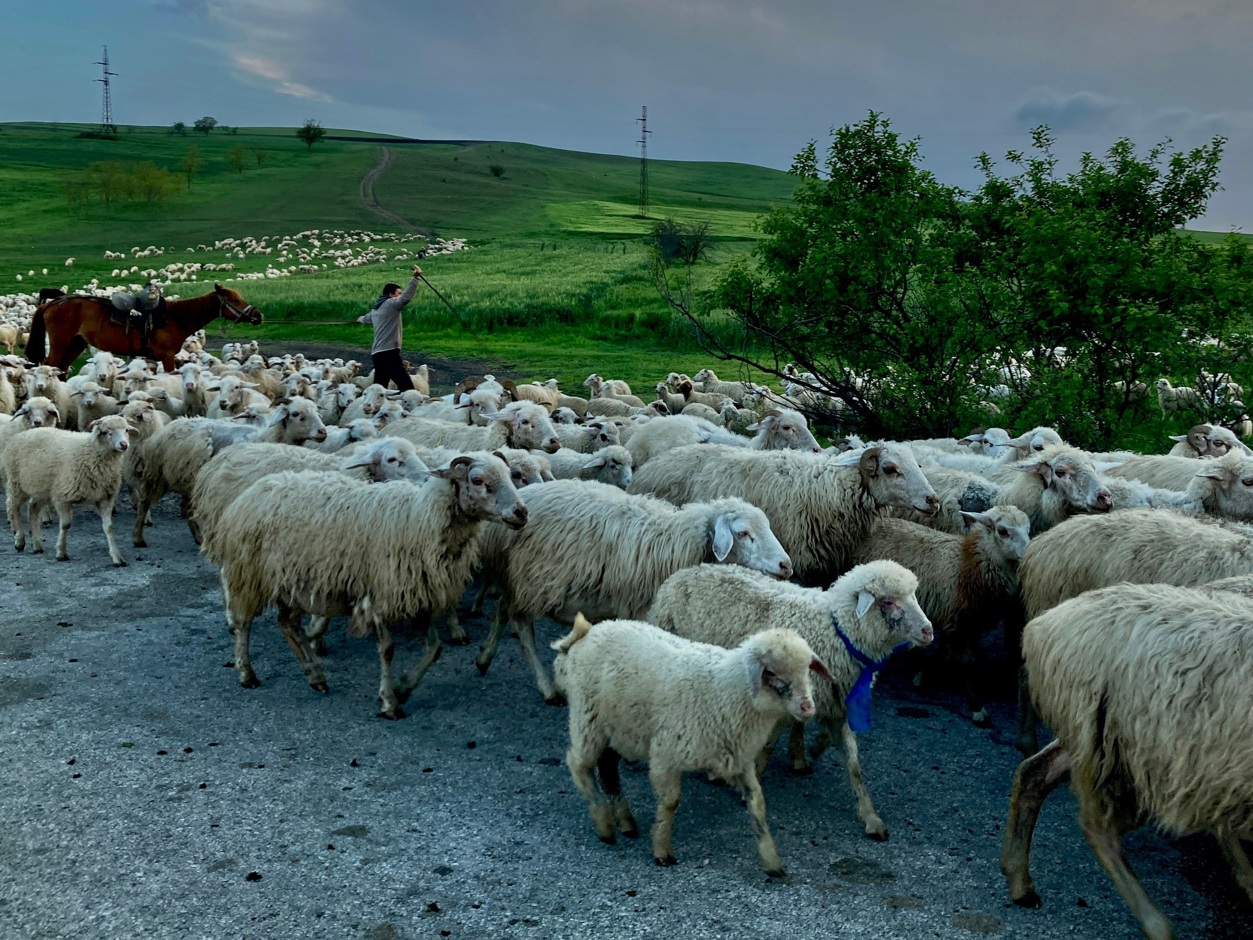 Автор: Иван Белозеров