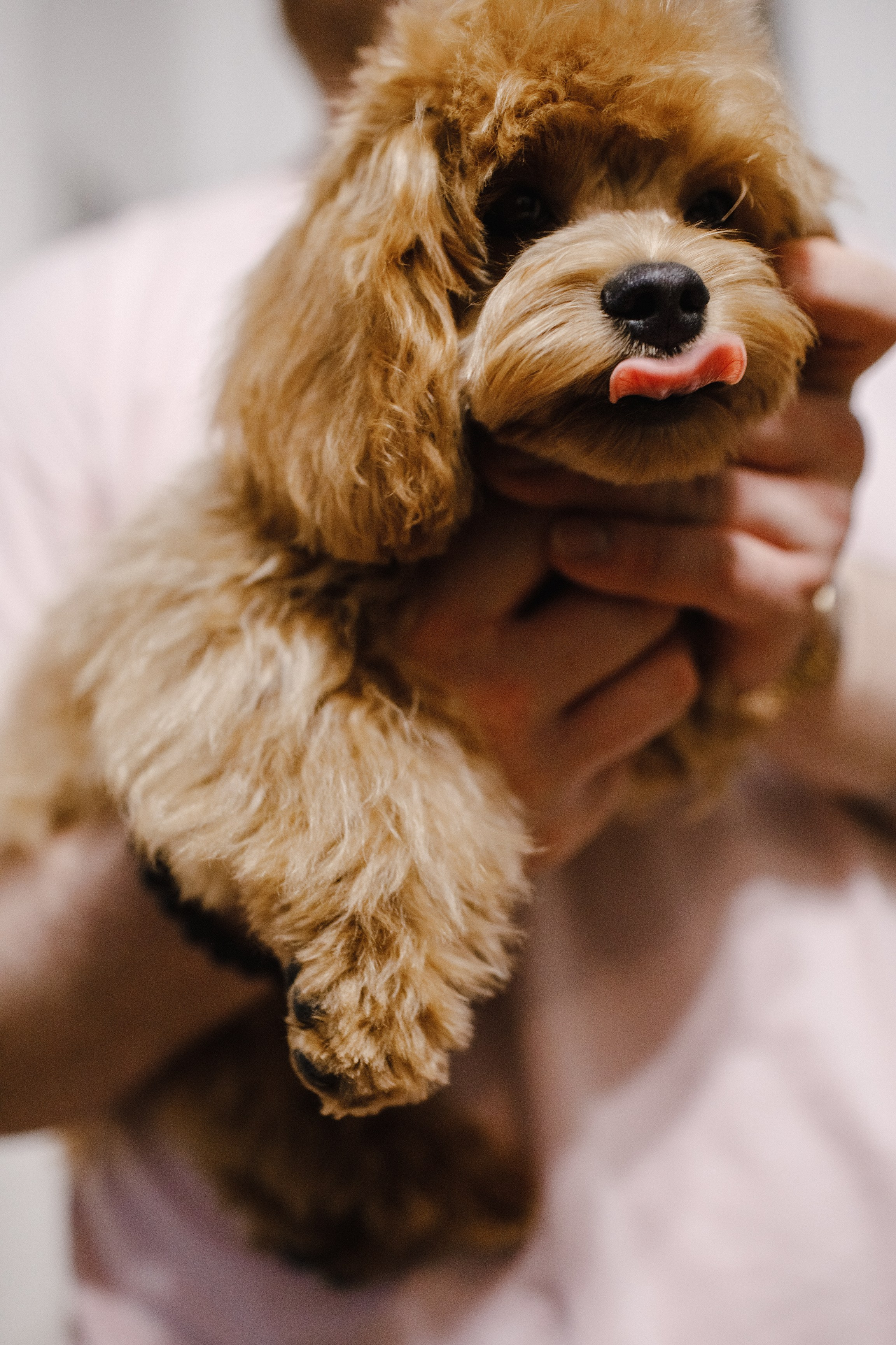 19.11.2022 // День нежности. Фотовыставки serebro.gallery, в которых автором можешь стать ты! | Москва