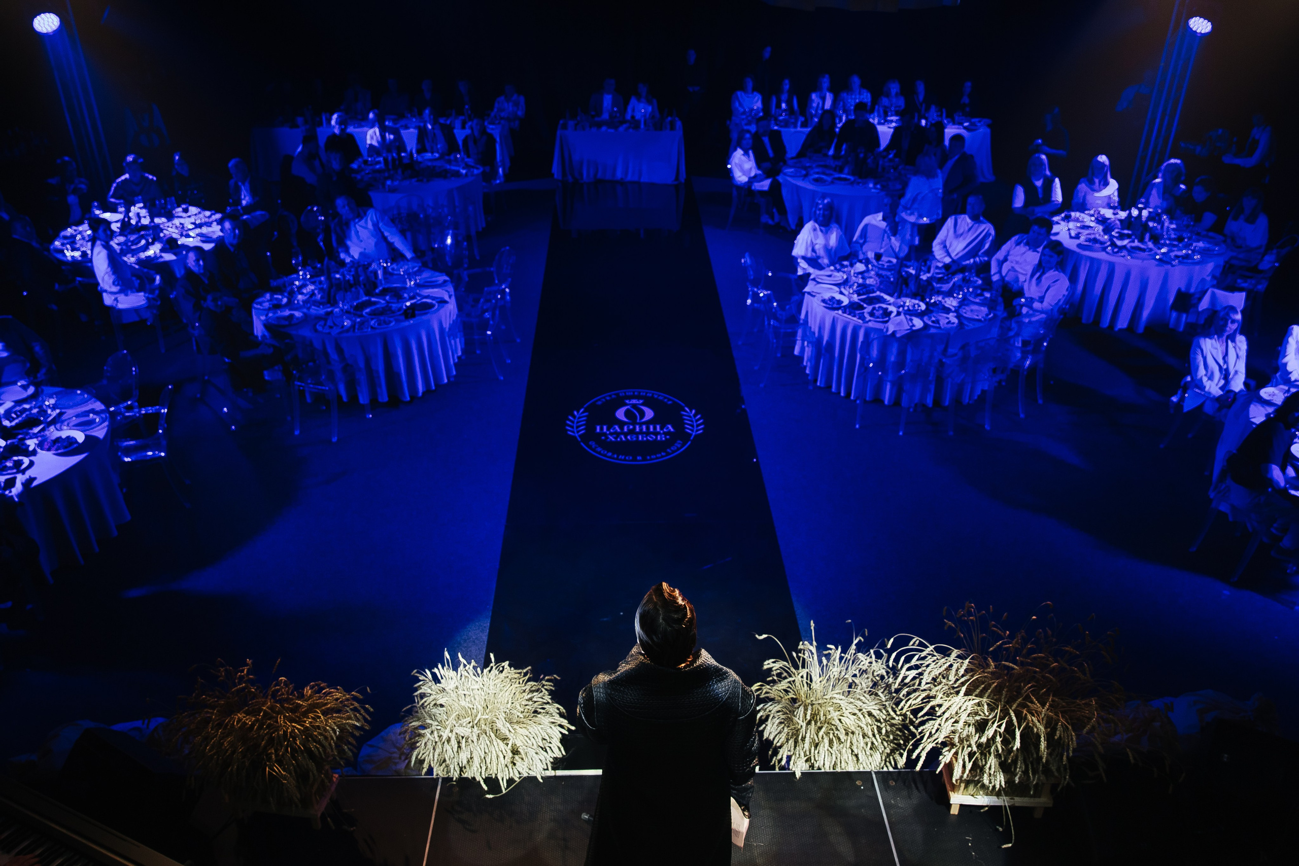 Сосны. Фотограф в Красноярске Любовь Малеева