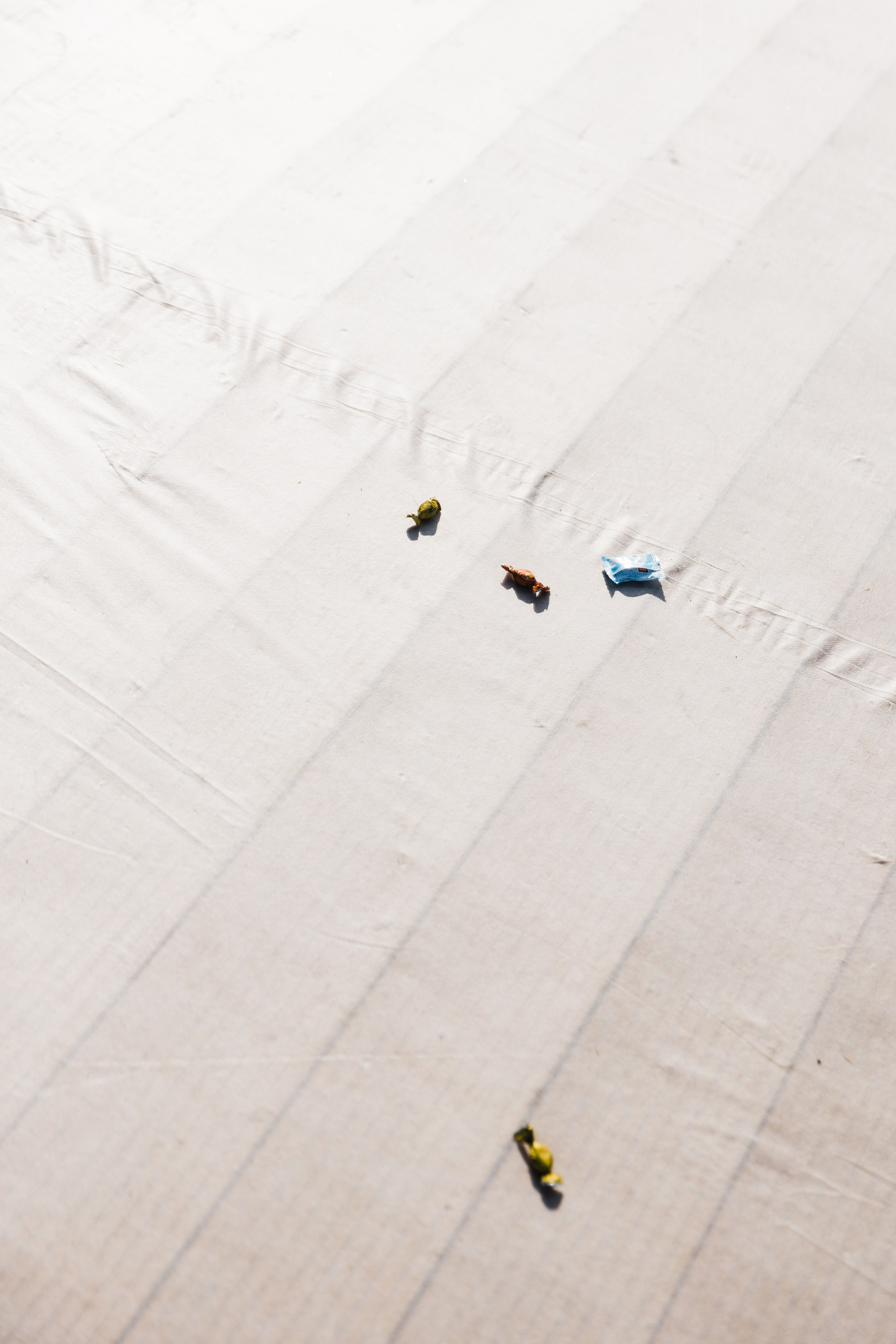 WED party A|K. Фотограф в Астрахани Радмир Баймухамедов