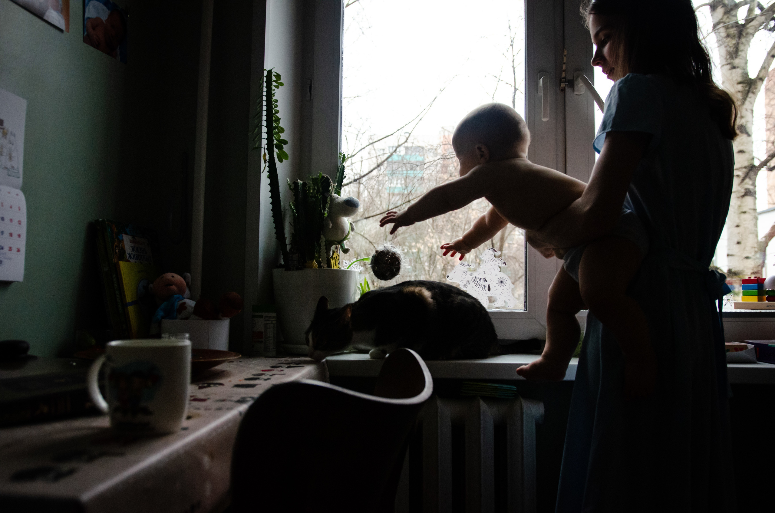 Катя и Серафим, Нанга и Атаман. Annaalyoshicheva.ru детский и семейный лайфстайл Lifestyle фотограф