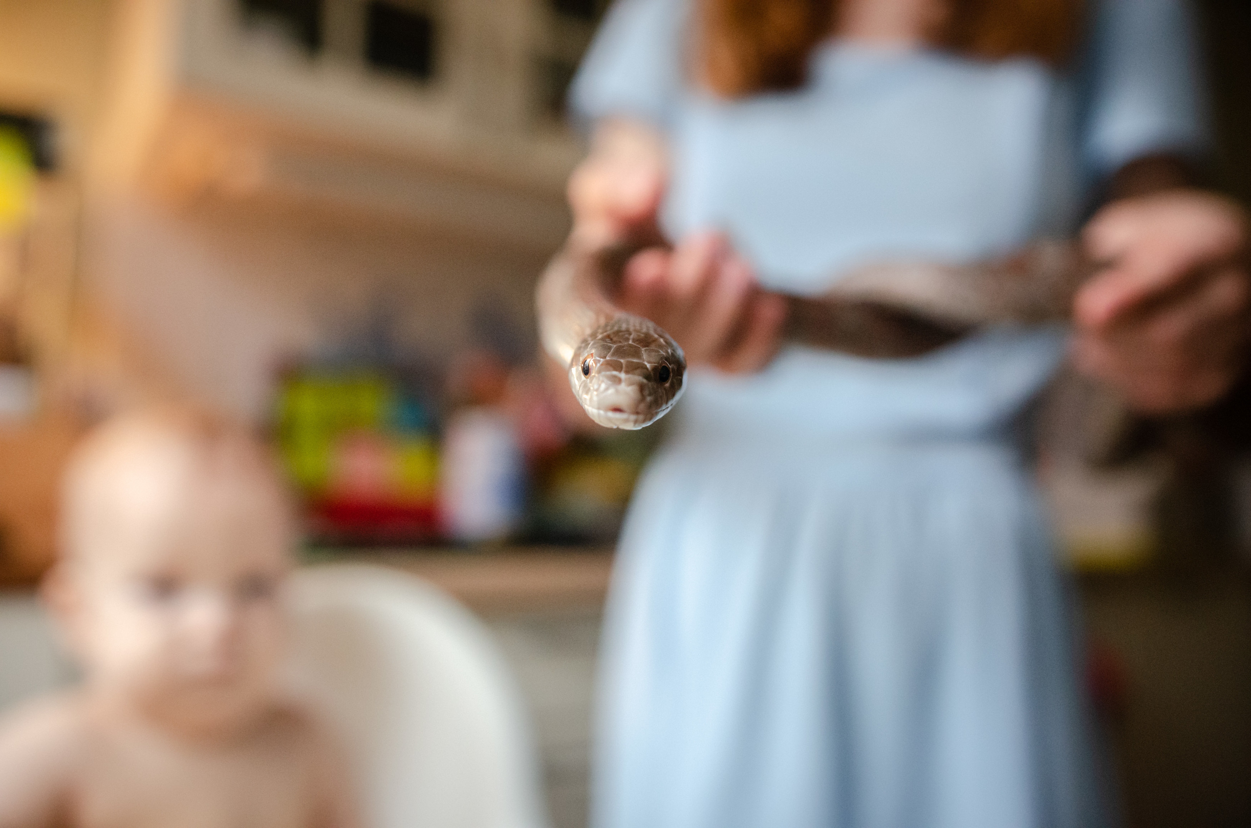 Катя и Серафим, Нанга и Атаман. Annaalyoshicheva.ru детский и семейный лайфстайл Lifestyle фотограф