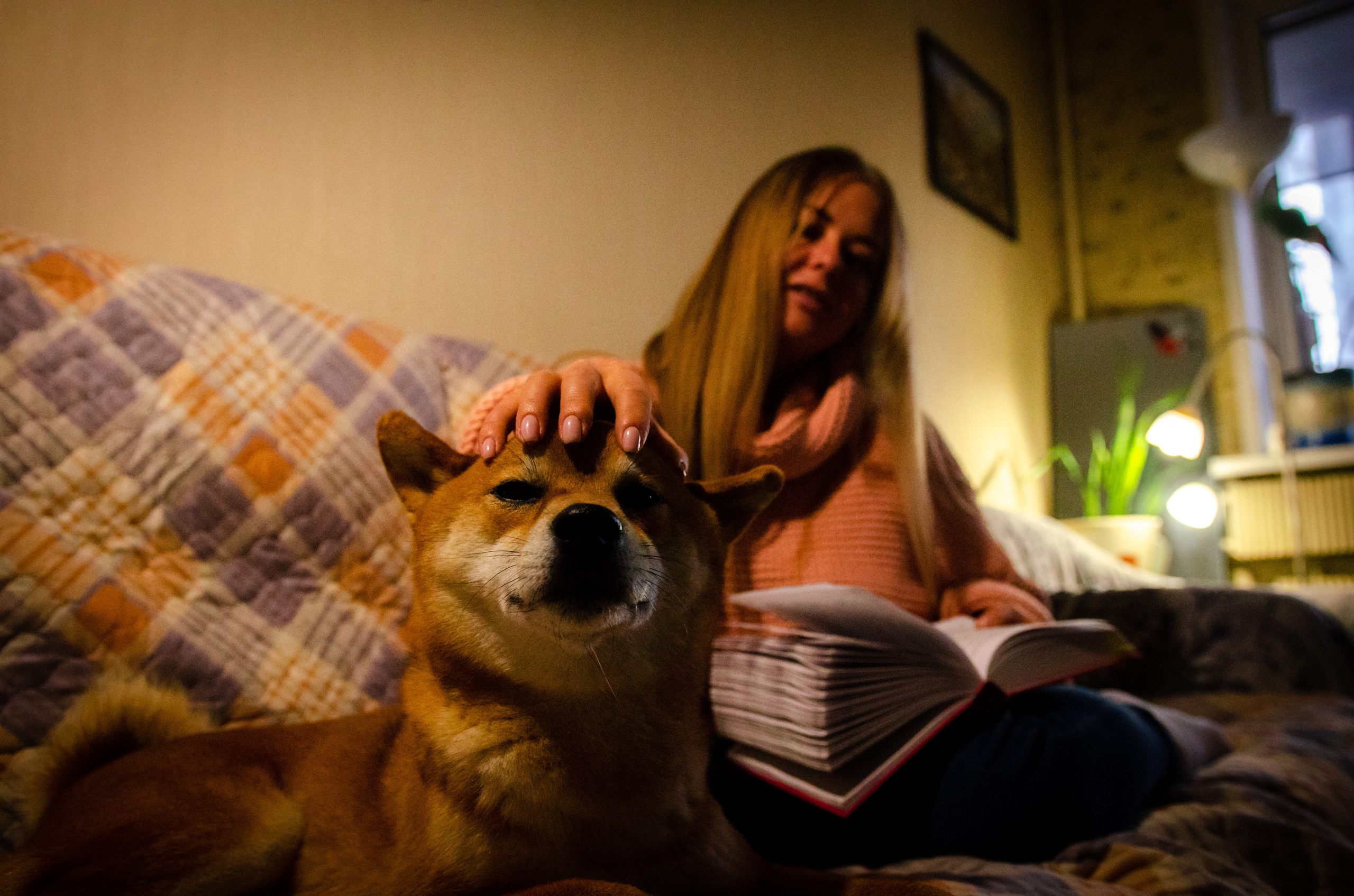 Вероника, мама Ирина, Сиба-ину Тери, Мэйн-кун Лео. Annaalyoshicheva.ru детский и семейный лайфстайл Lifestyle фотограф