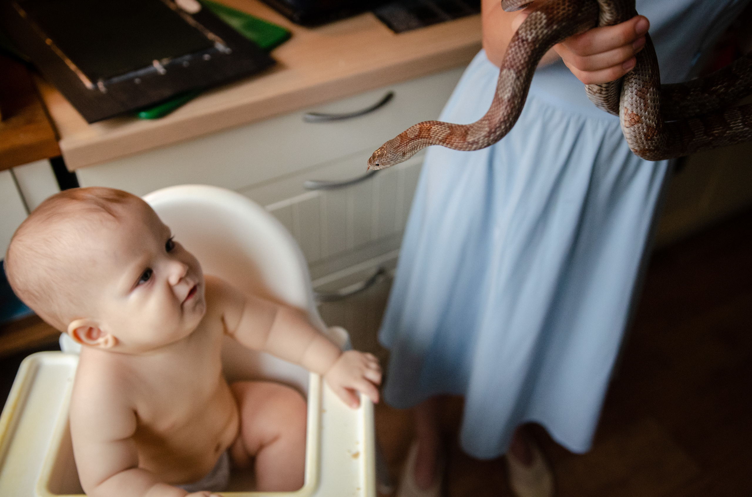 Катя и Серафим, Нанга и Атаман. Annaalyoshicheva.ru детский и семейный лайфстайл Lifestyle фотограф