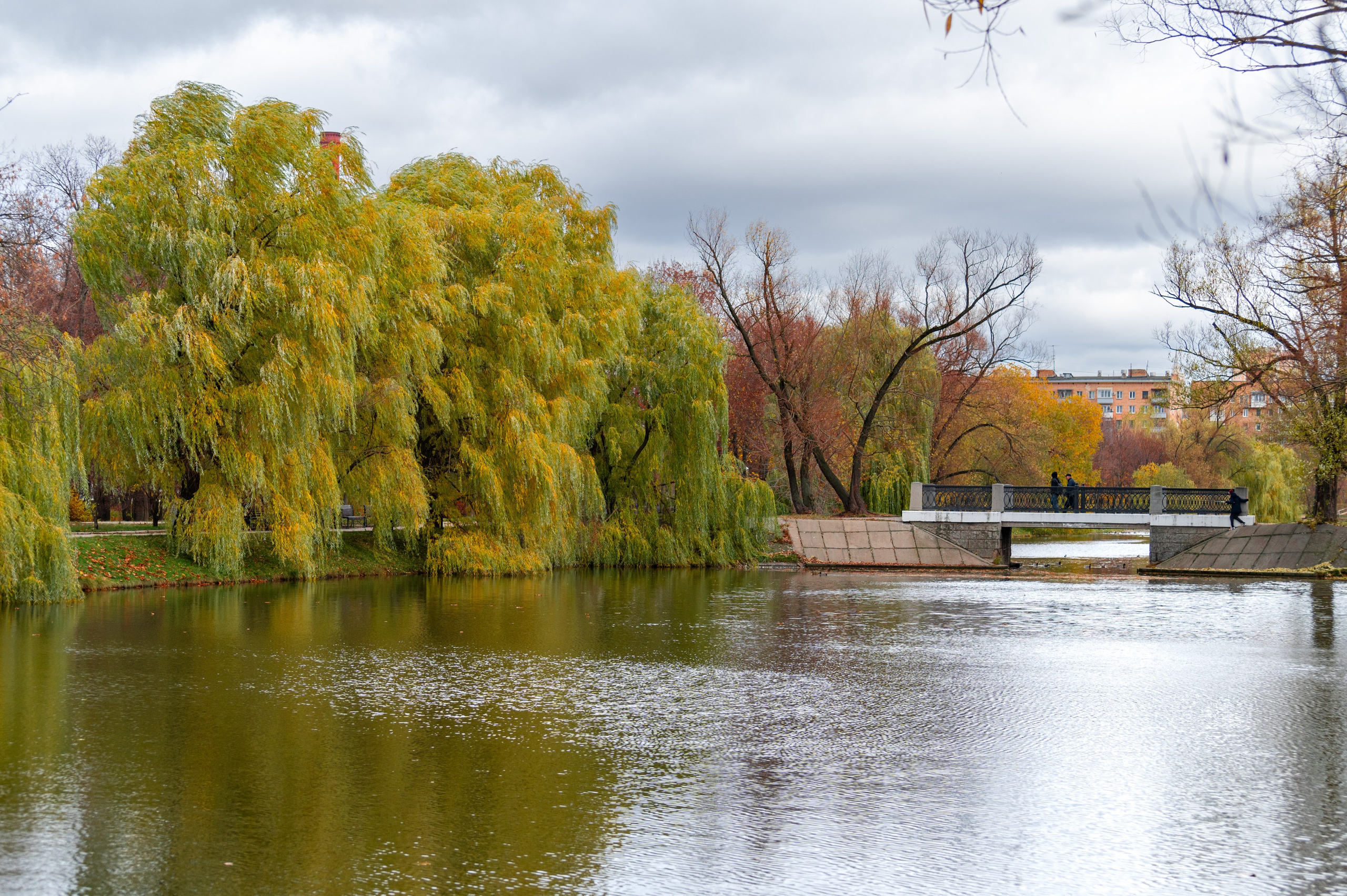 20221030 Новодевичий. Дмитрий Ремизов. Фотография, как хобби