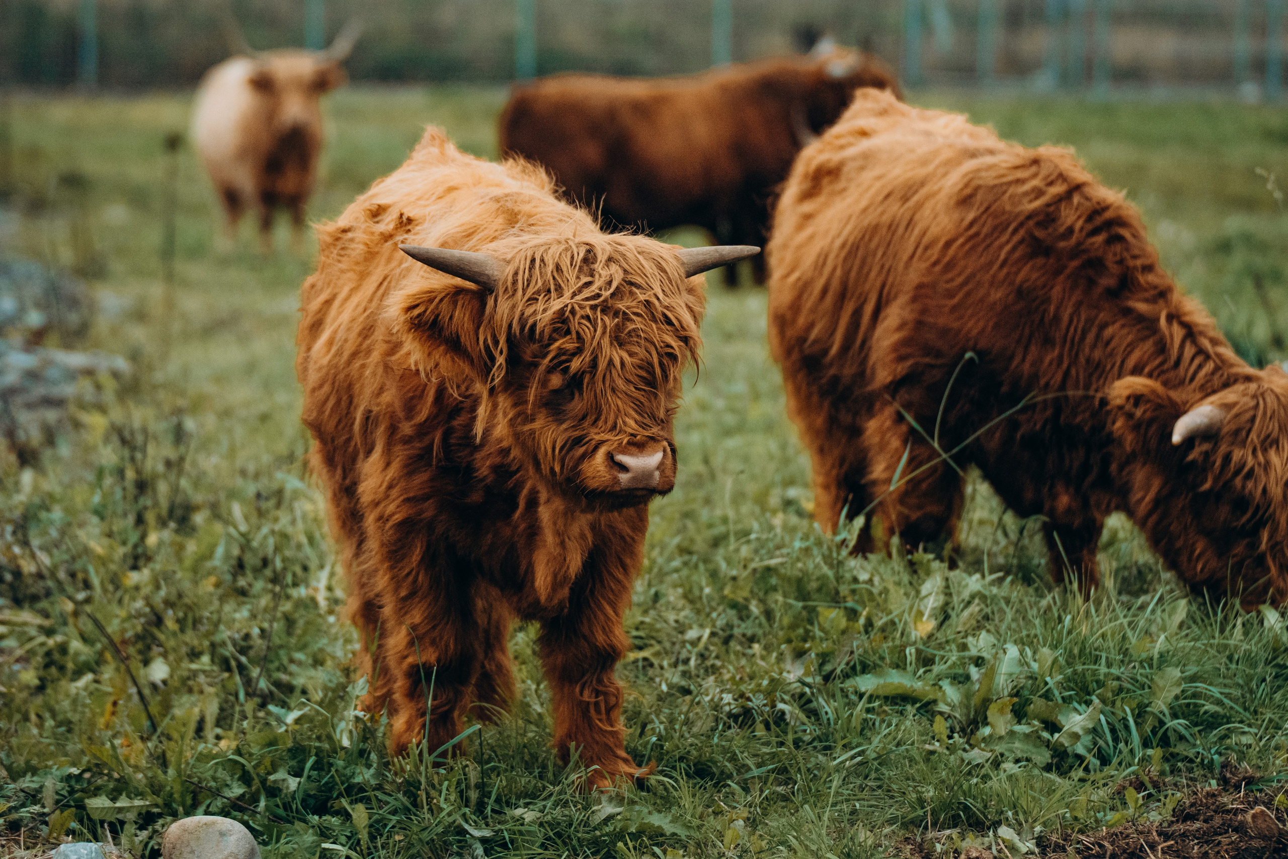СЕВЕР. Event фотограф Степанова Александра
