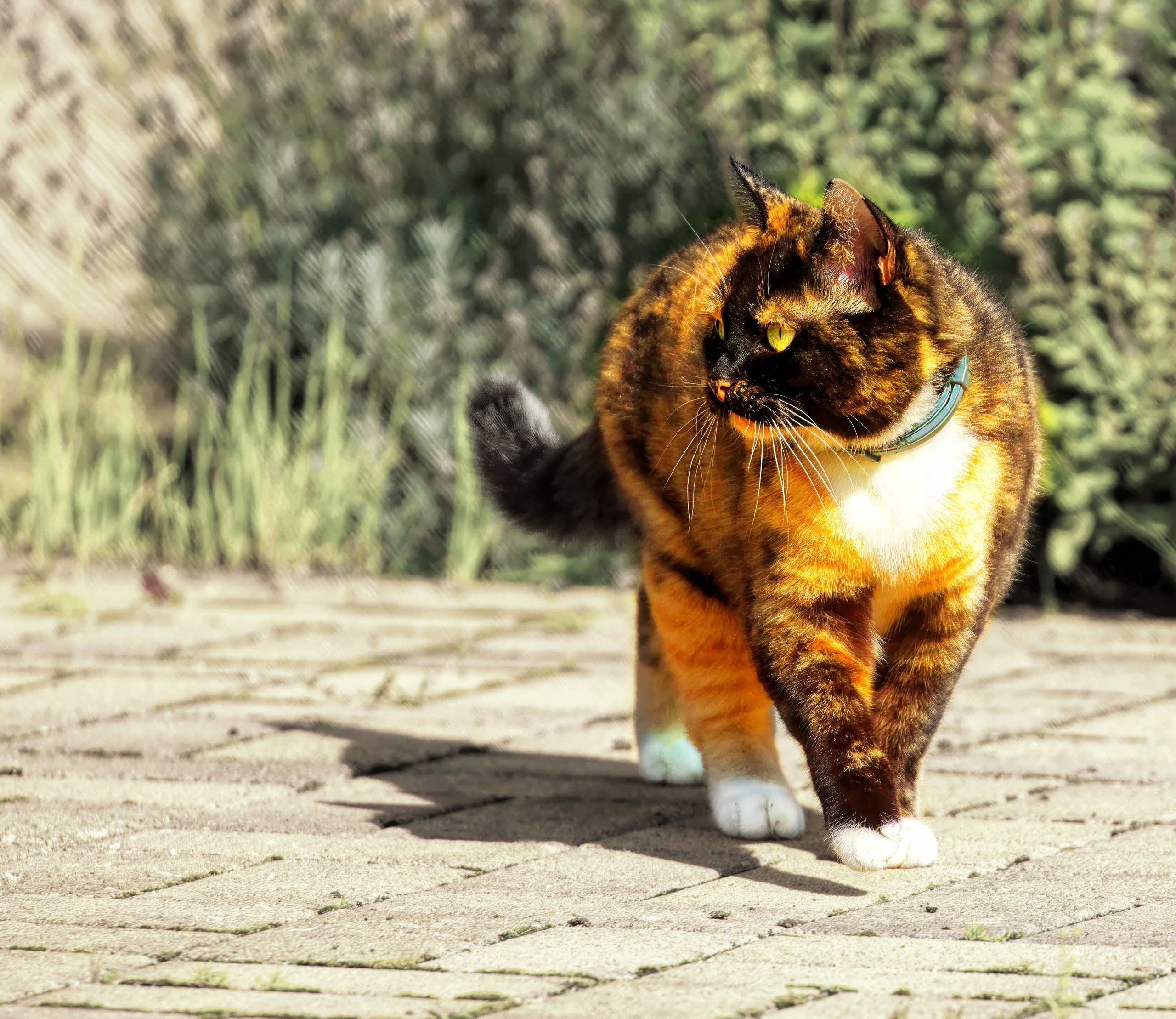 ПРИРОДА. Слепки времени. Фотографии природы и событий. Москва. Сергей Аллагулов