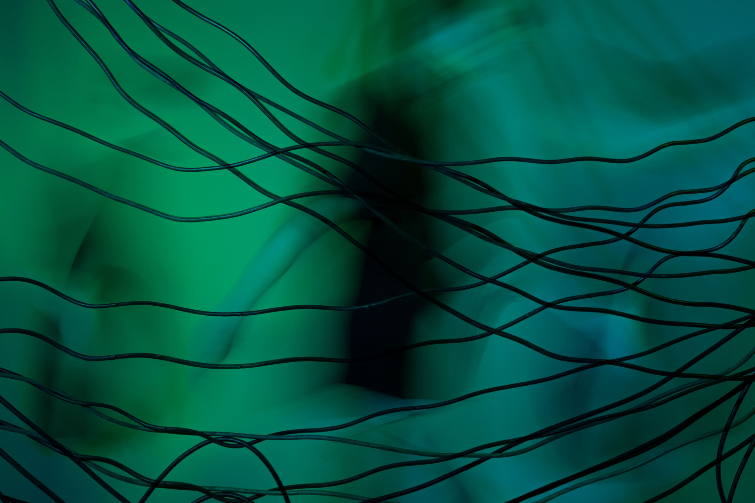 Inside the Noise. Dk