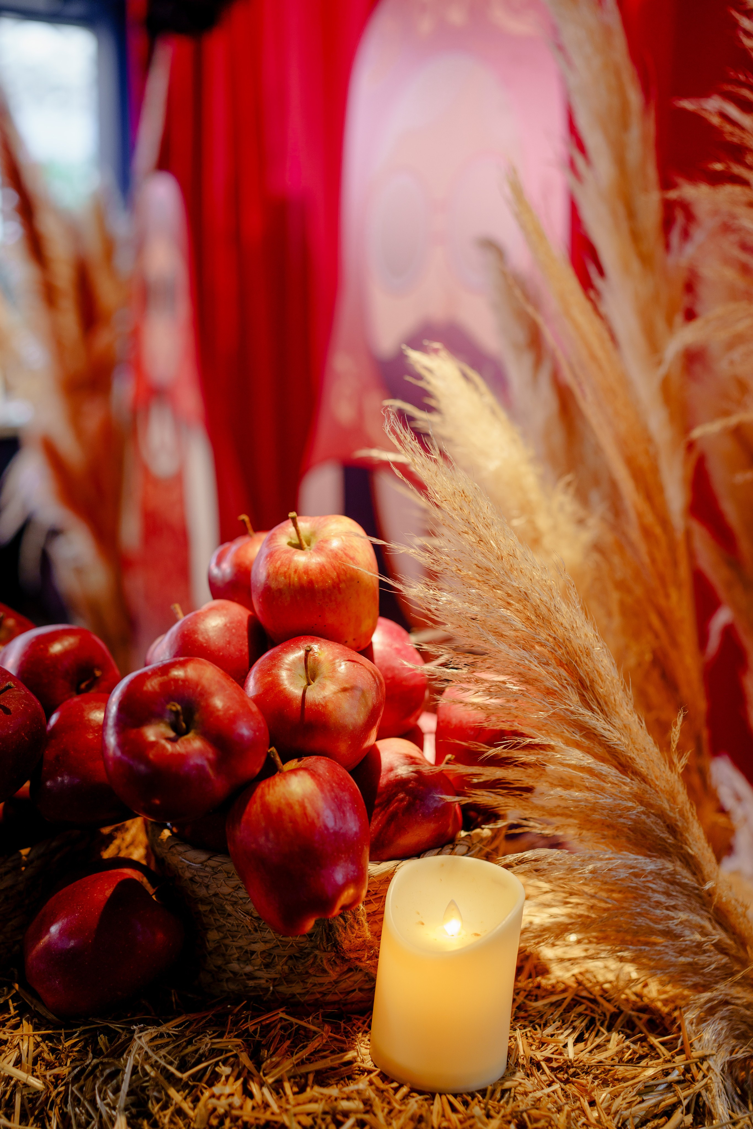 Гендер пати в славянском стиле. Репортажный фотограф в Москве Саша Дружинина