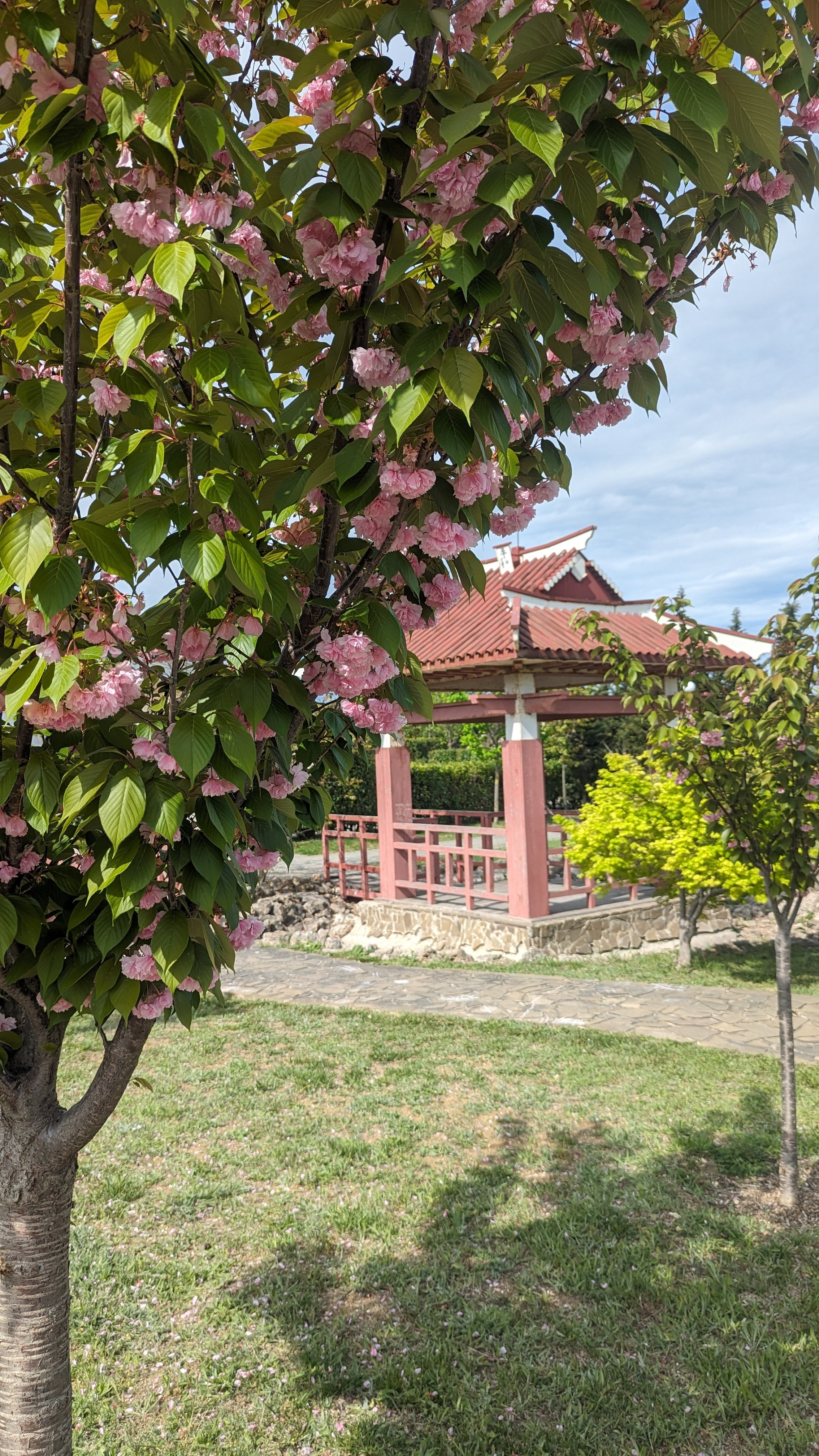 Самые красивые локации города Севастополь. Где пофотографироваться в Севастополе? Локации для фото. 1 место. Первое место. Место. Бывшее мес. Профессиональная фотосъемка в Крыму. Натуральные эмоции и живые кадры. Забронируйте дату прямо сейчас!