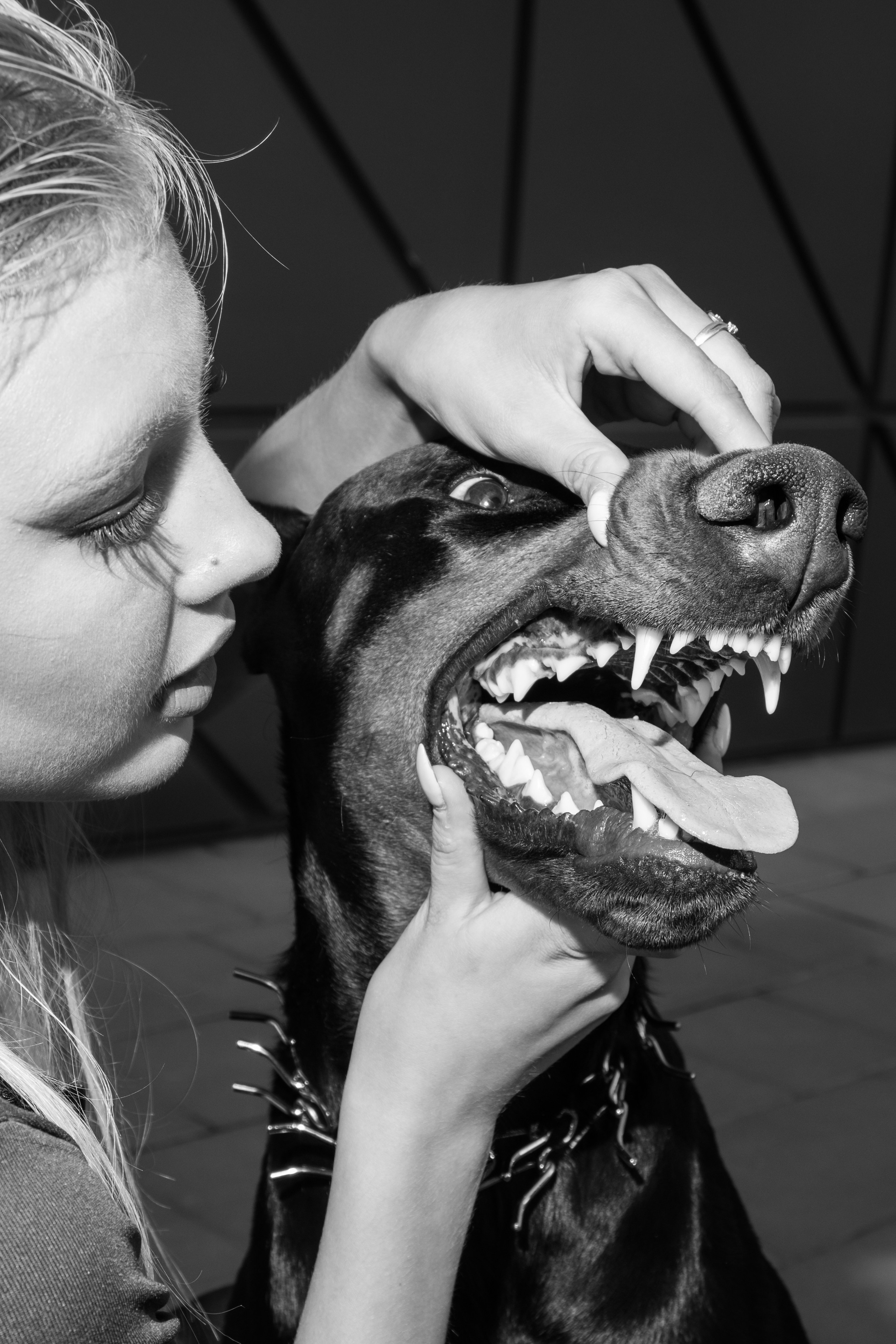 Фотосессия с Доберманом. Профессиональная фотосъемка в Крыму. Натуральные эмоции и живые кадры. Забронируйте дату прямо сейчас!