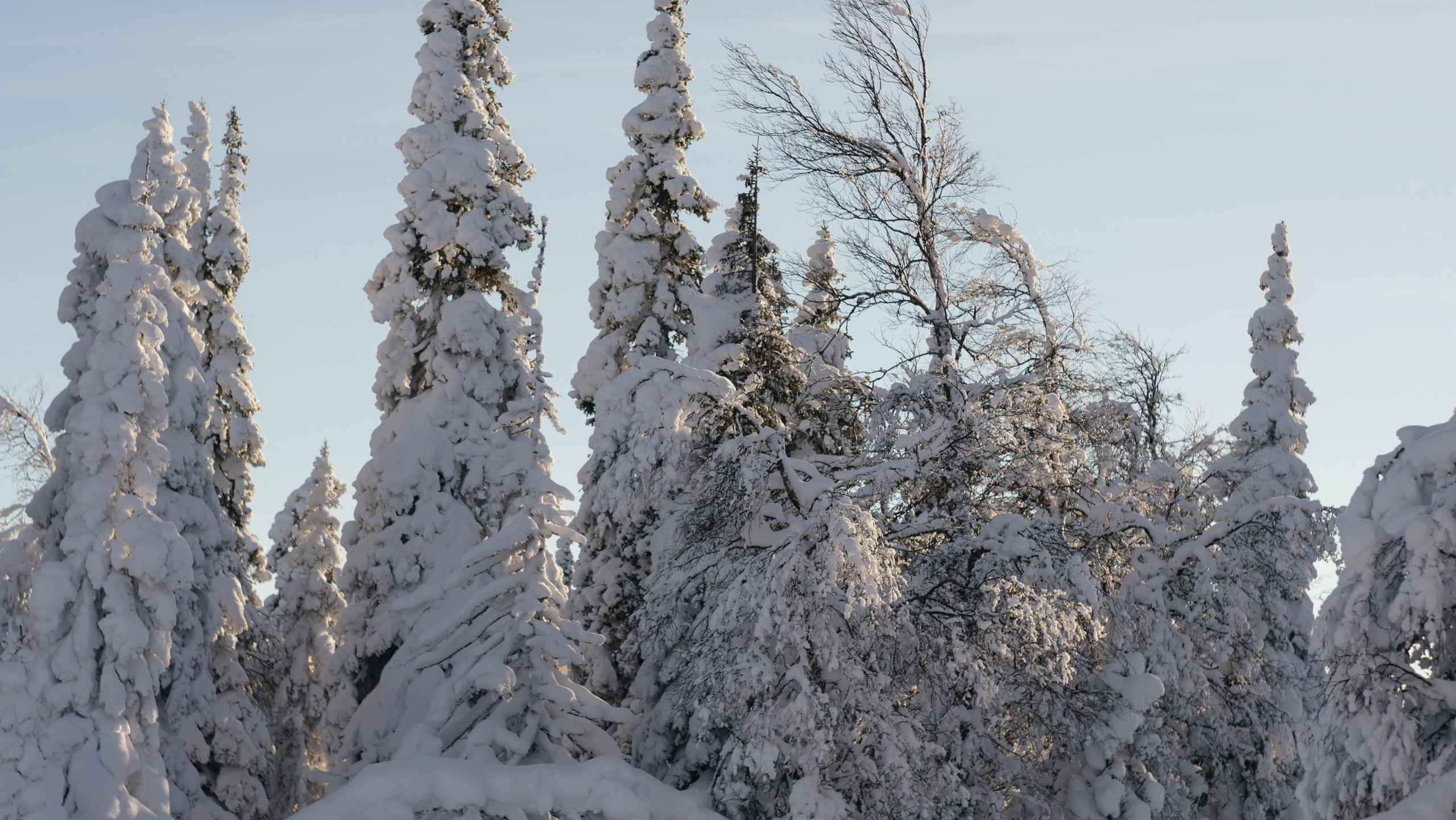 Фотографии из путешествий. NECULTURED PHOTOGRAPHER